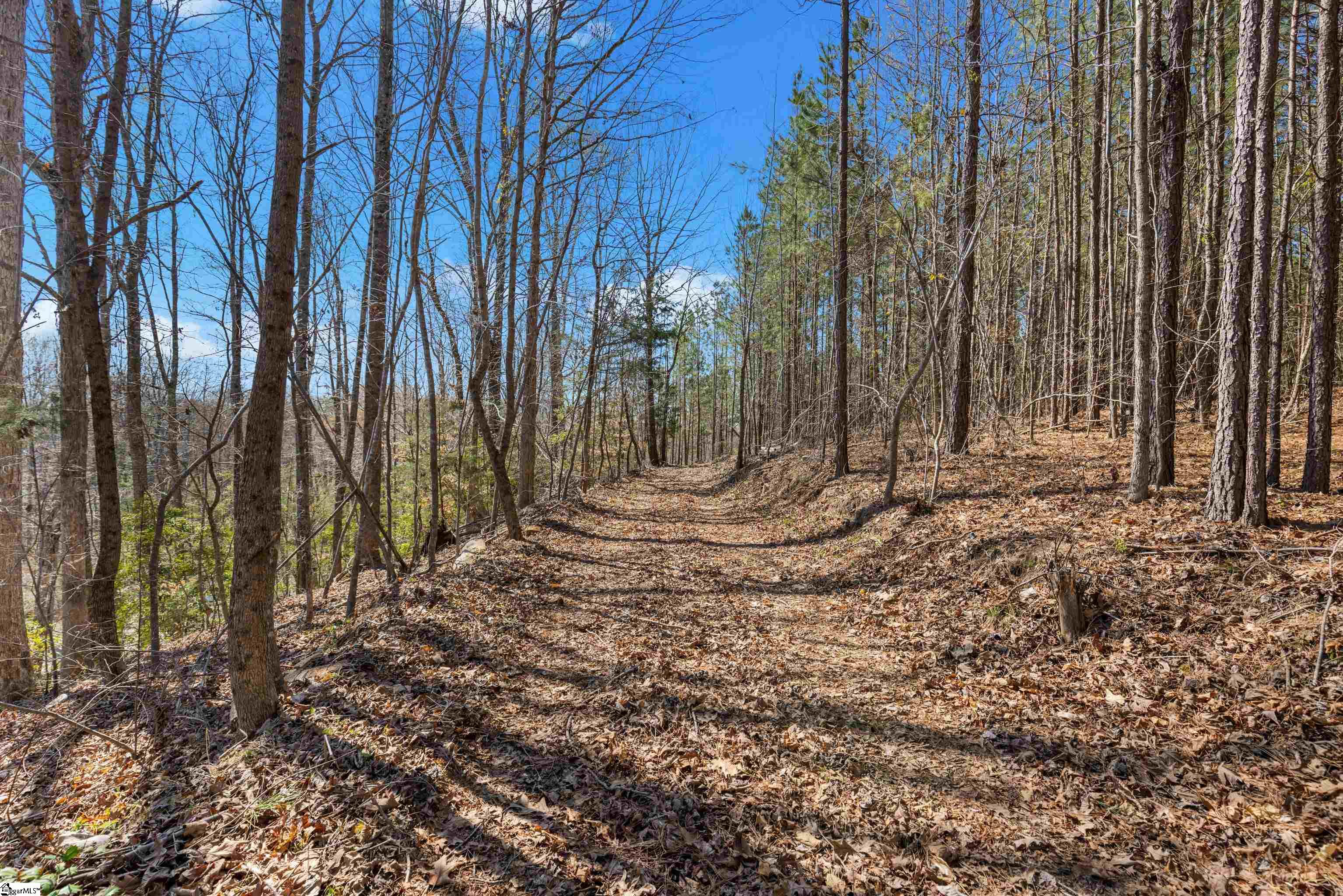 242 Mattie Campbell Road