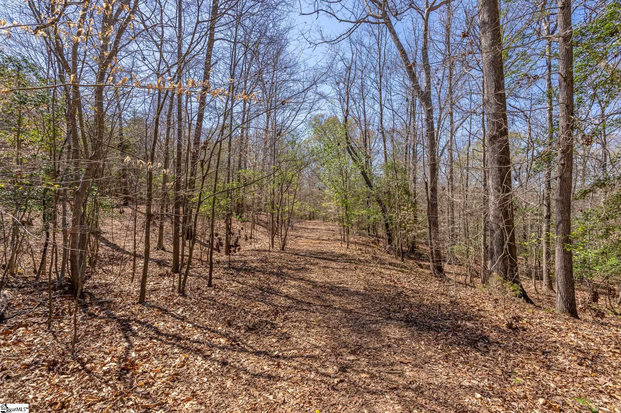 Old Log Shoals Road