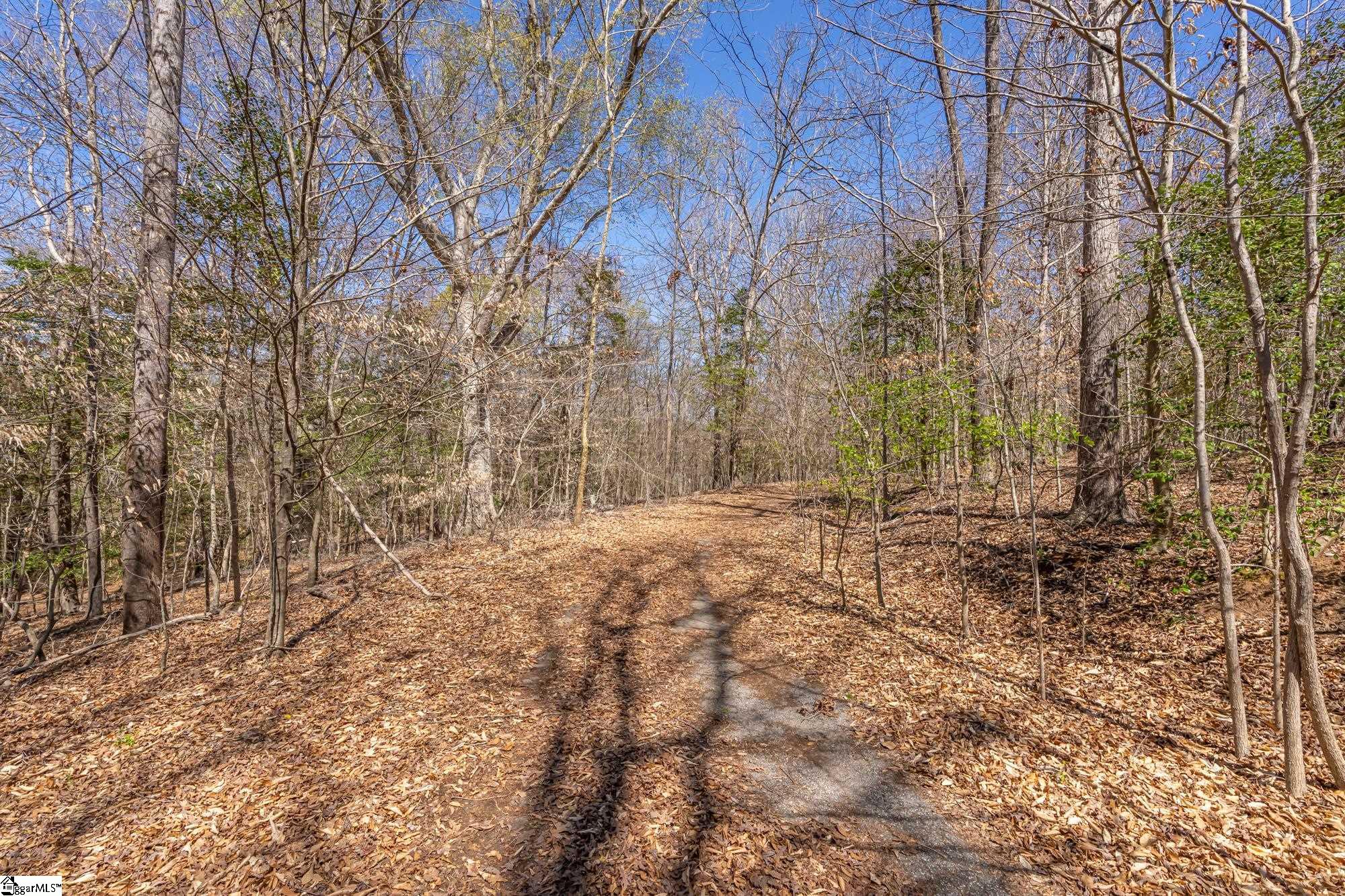 Old Log Shoals Road