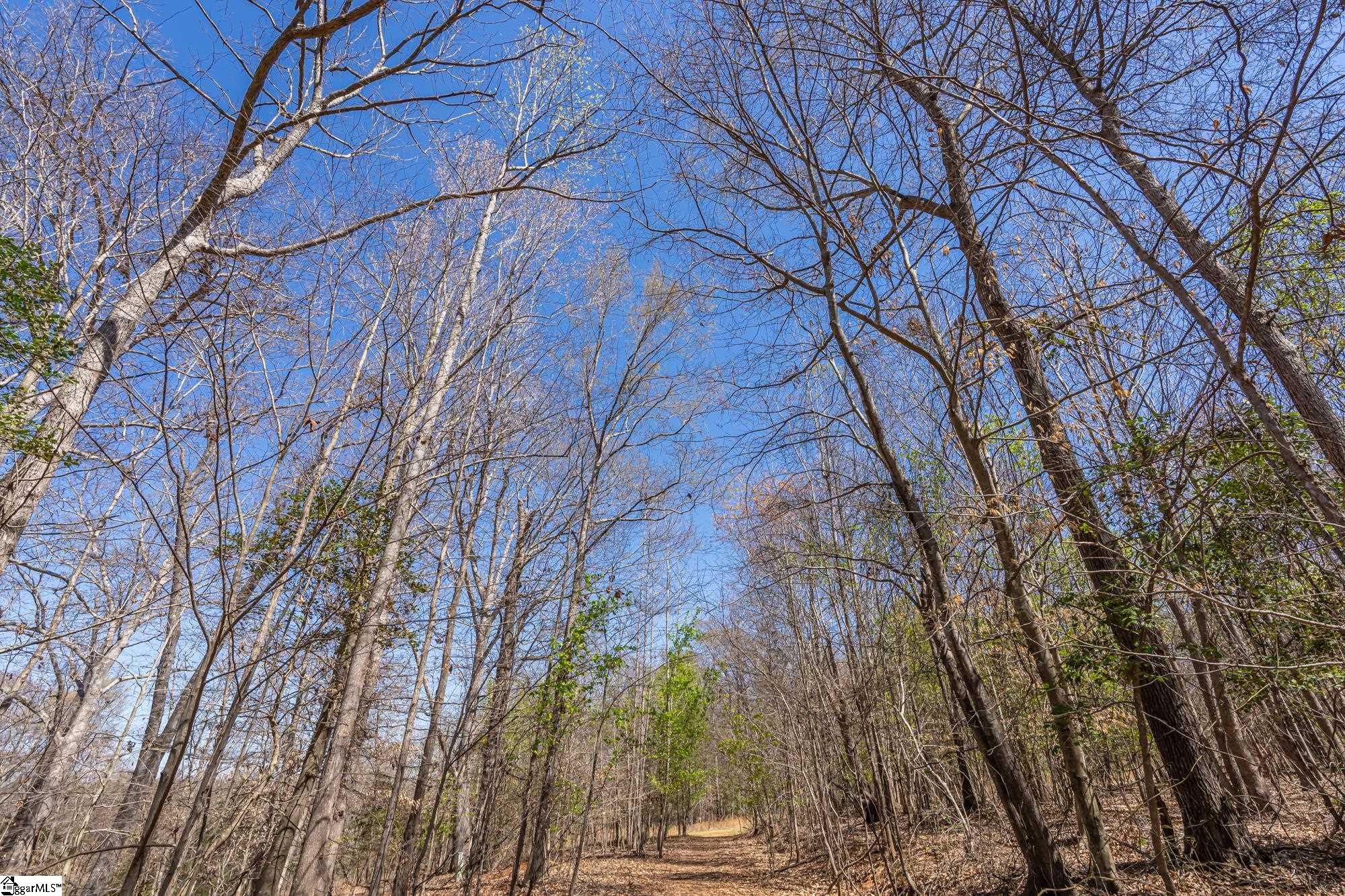 Old Log Shoals Road