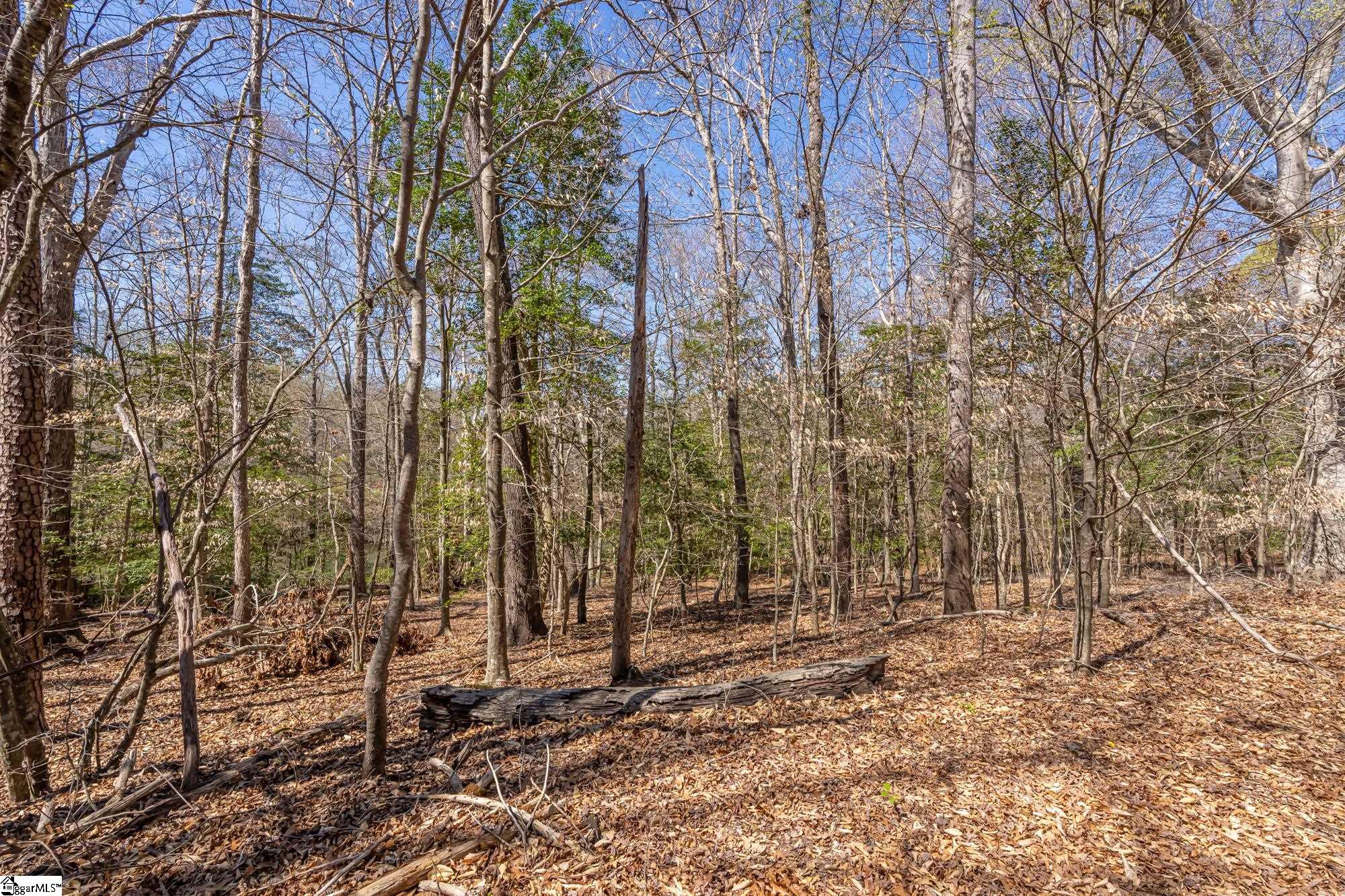 Old Log Shoals Road