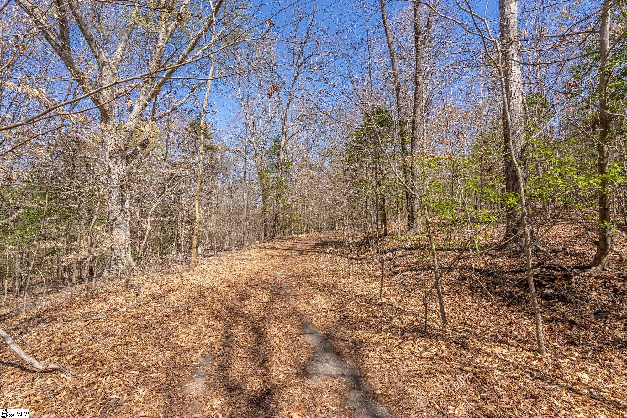 Old Log Shoals Road