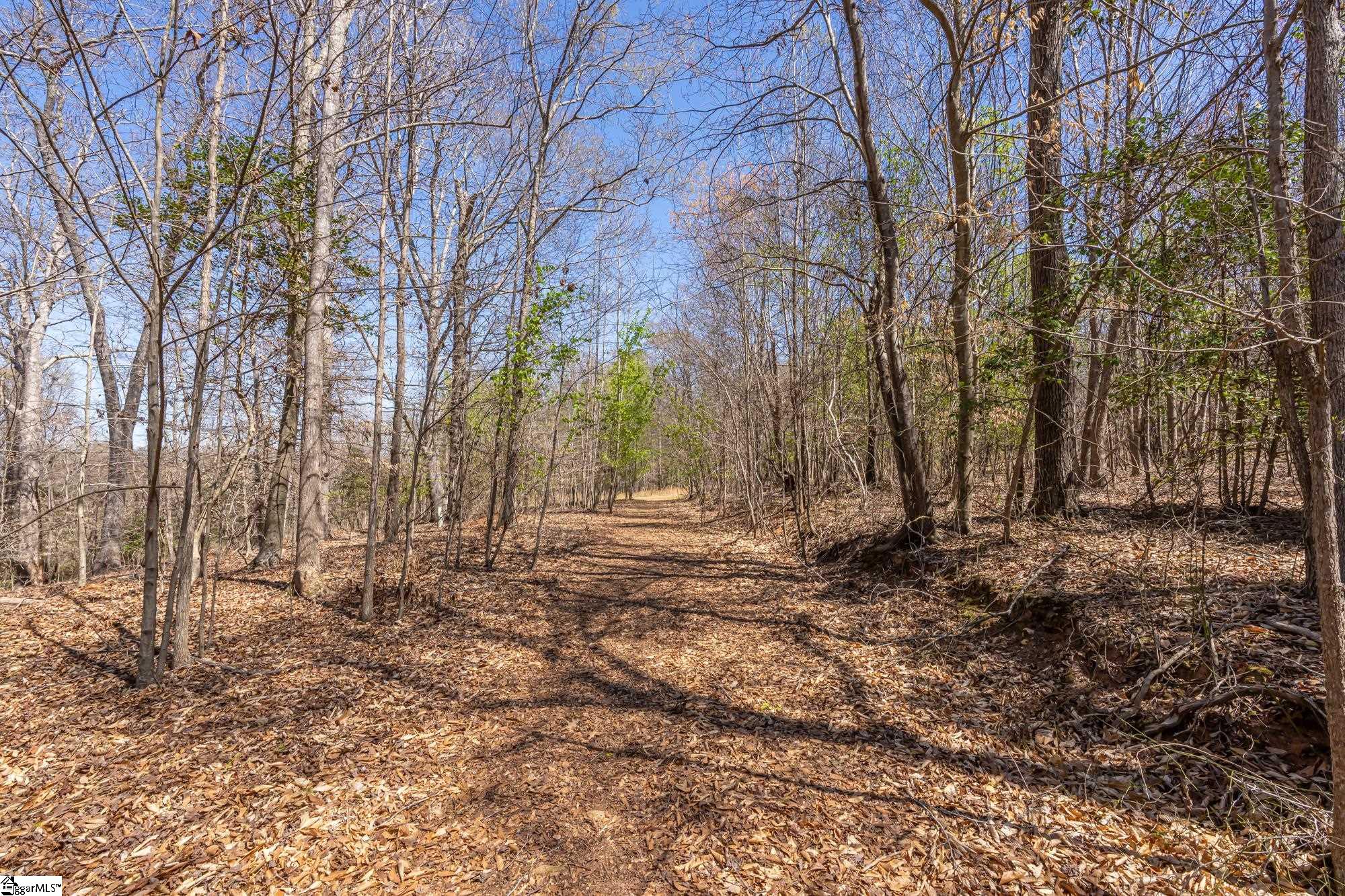 Old Log Shoals Road