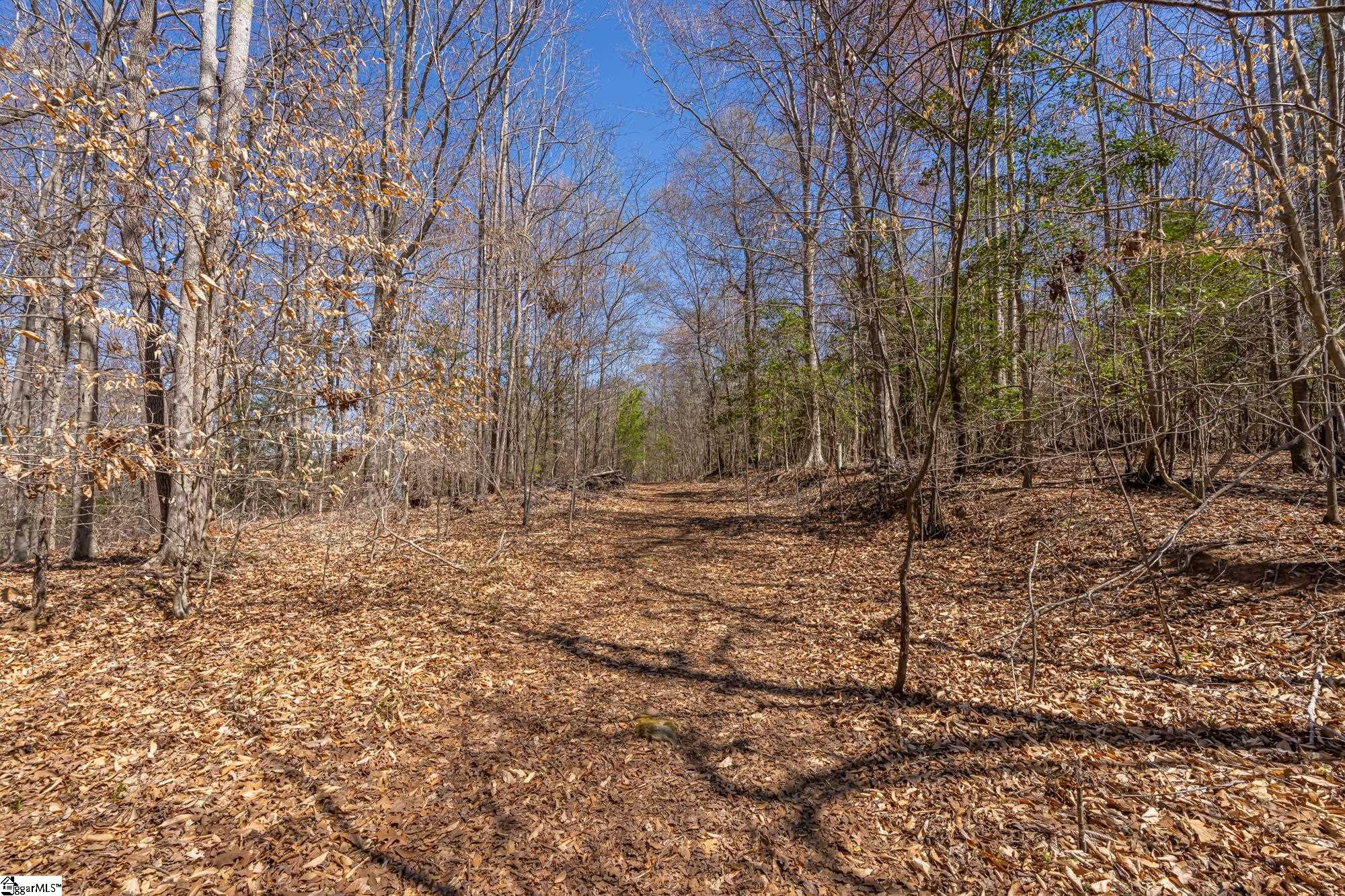 Old Log Shoals Road