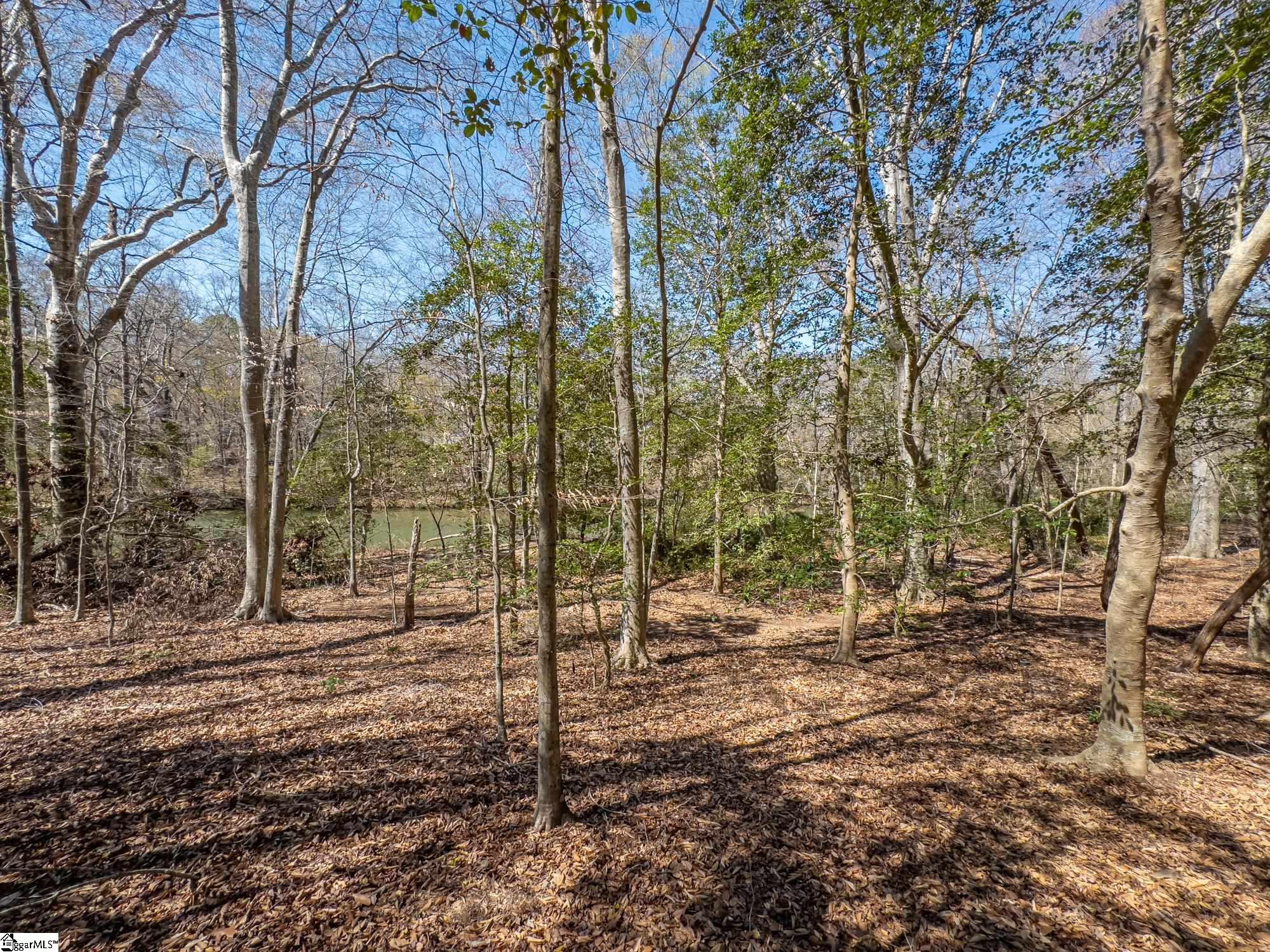 Old Log Shoals Road