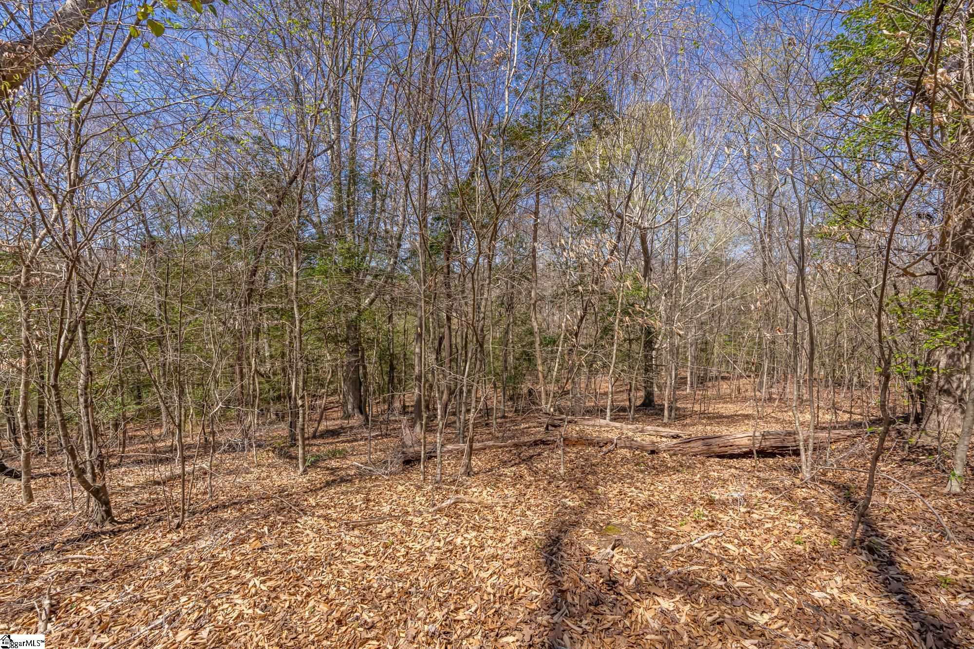 Old Log Shoals Road