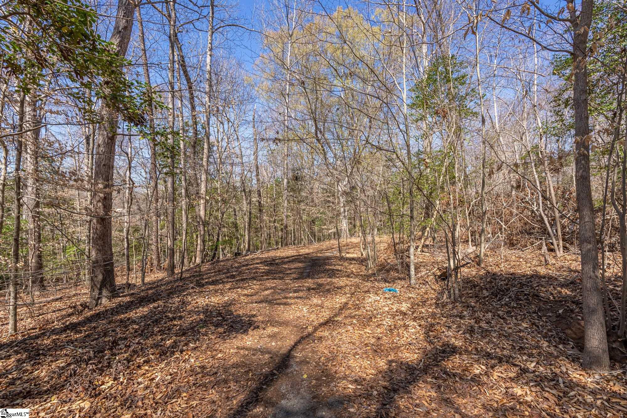Old Log Shoals Road
