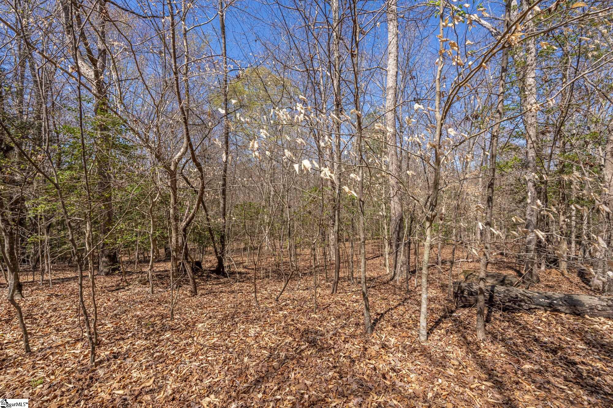 Old Log Shoals Road