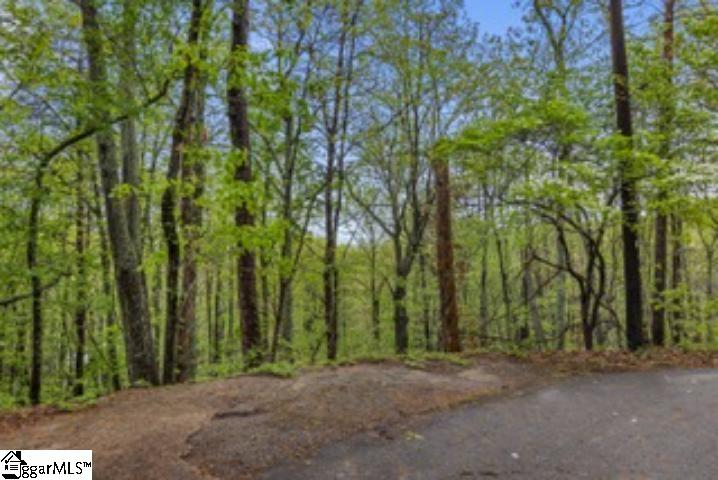 19287 Patrol Club Road