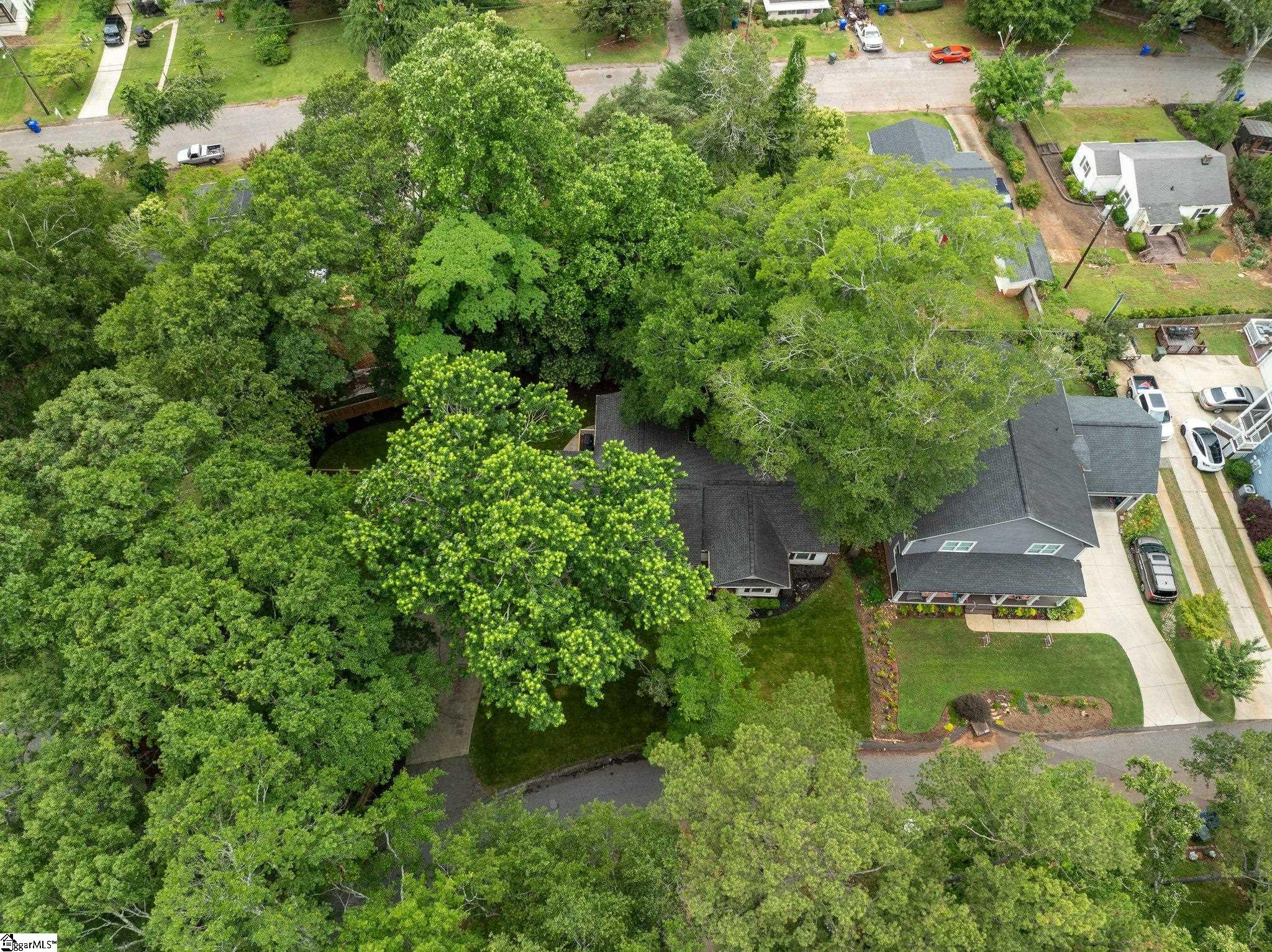 10 Moultrie Street
