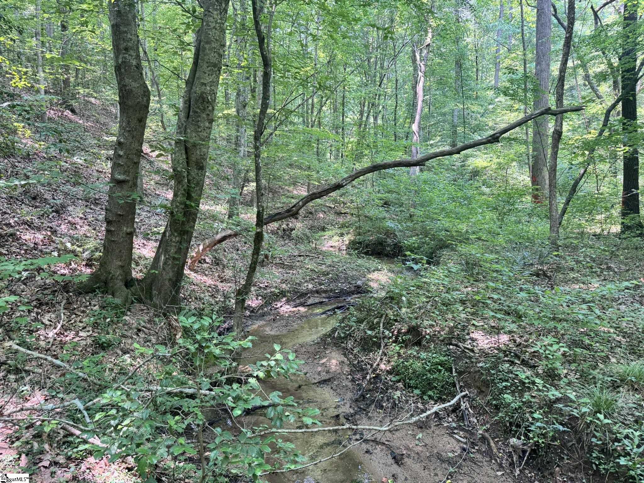 0 N Jenkins Bridge Road