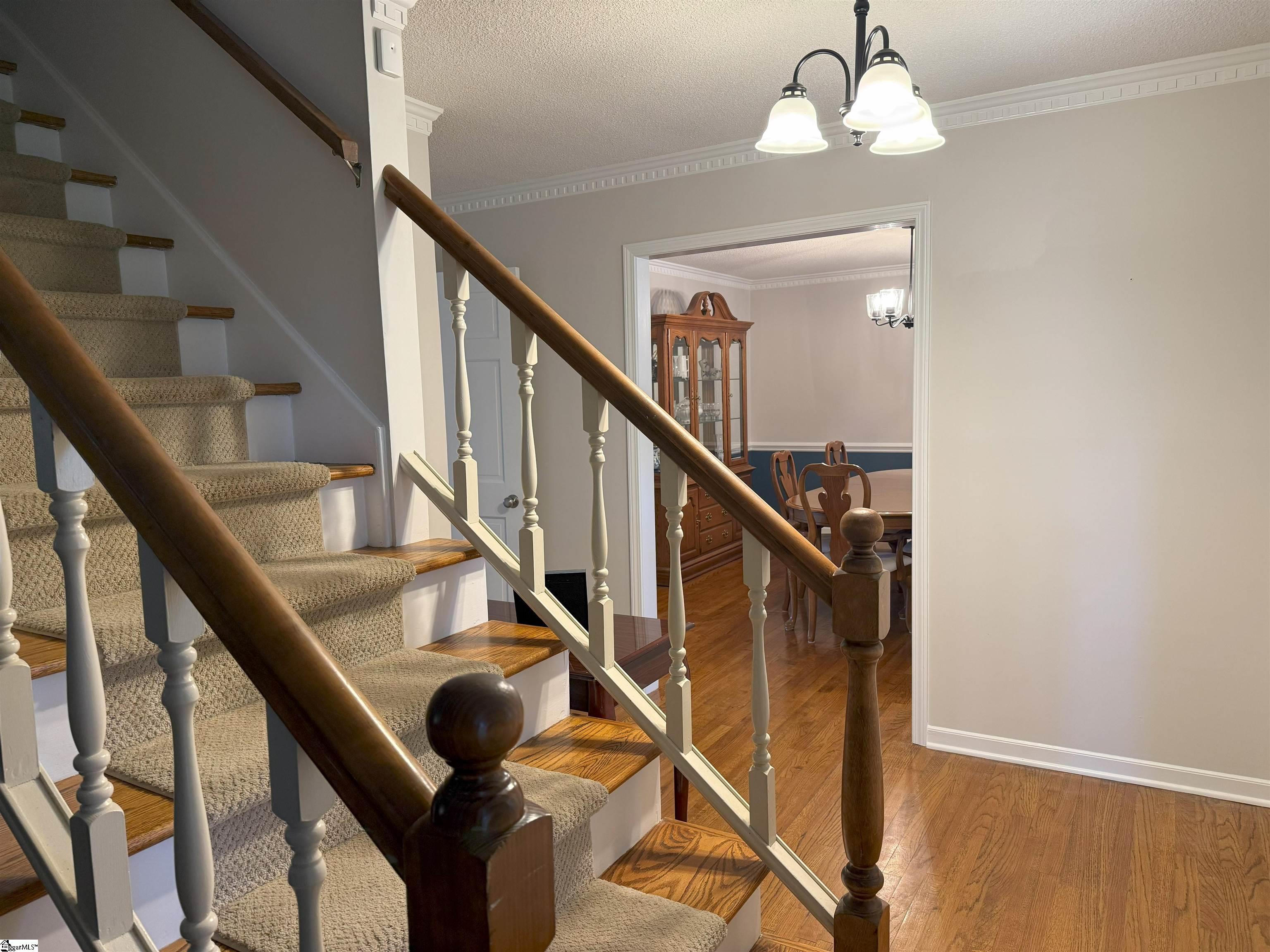 111 Firethorne Court