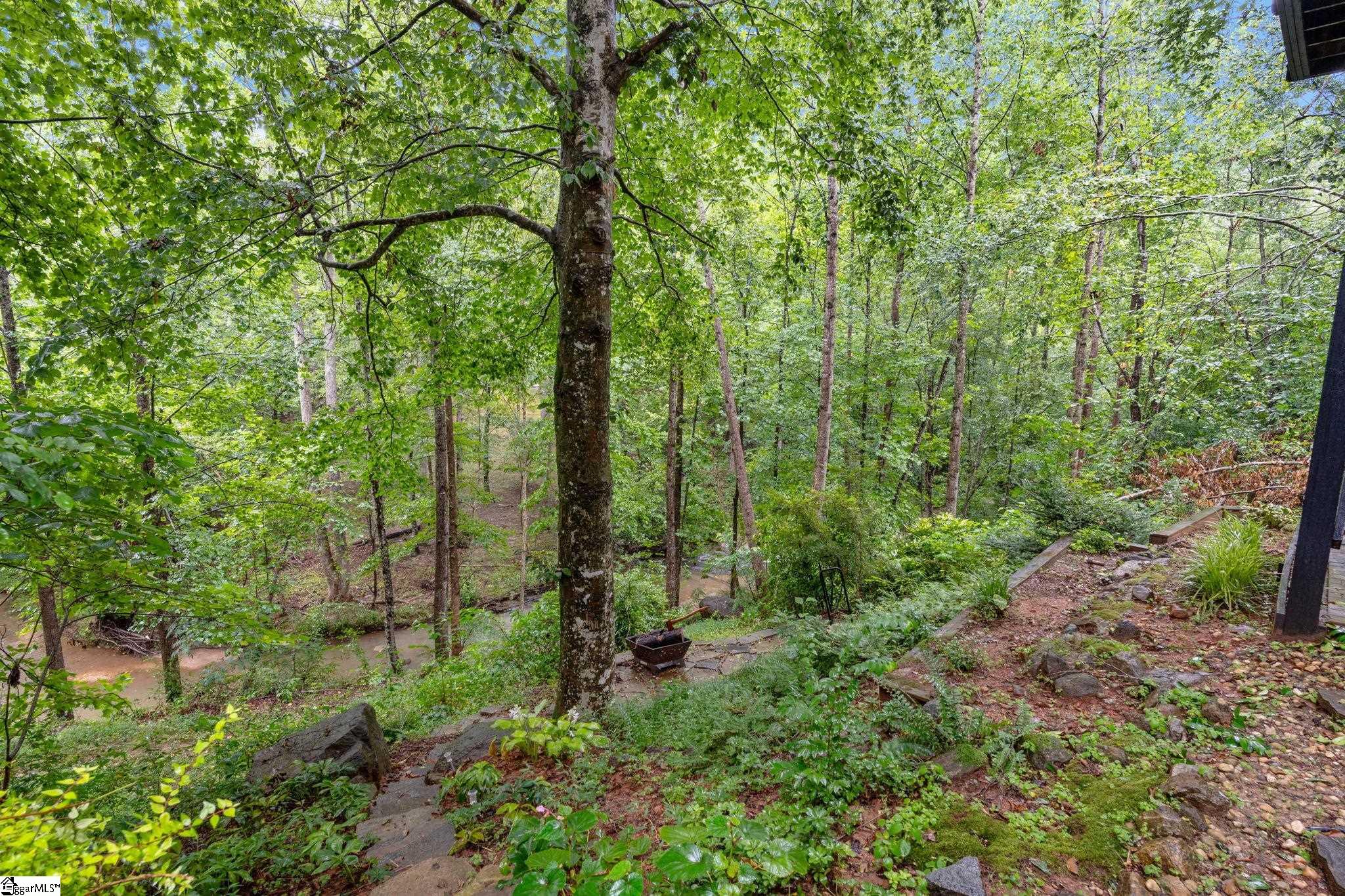 213 Marcie Rush Lane