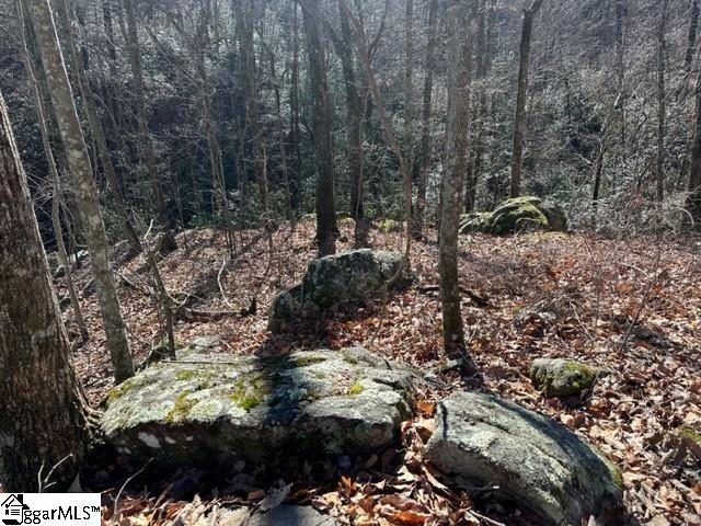 0 Chestnut Ridge Road