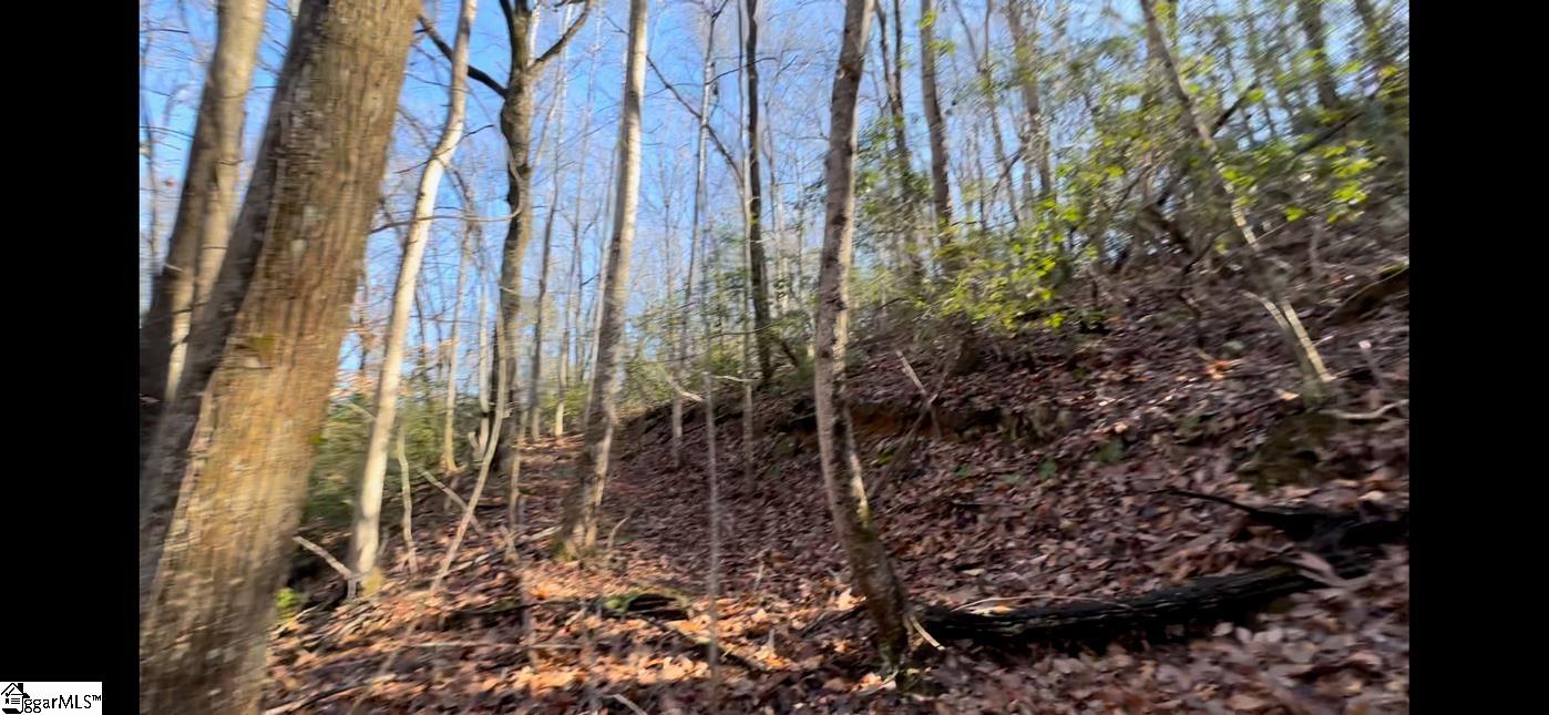 0 Chestnut Ridge Road