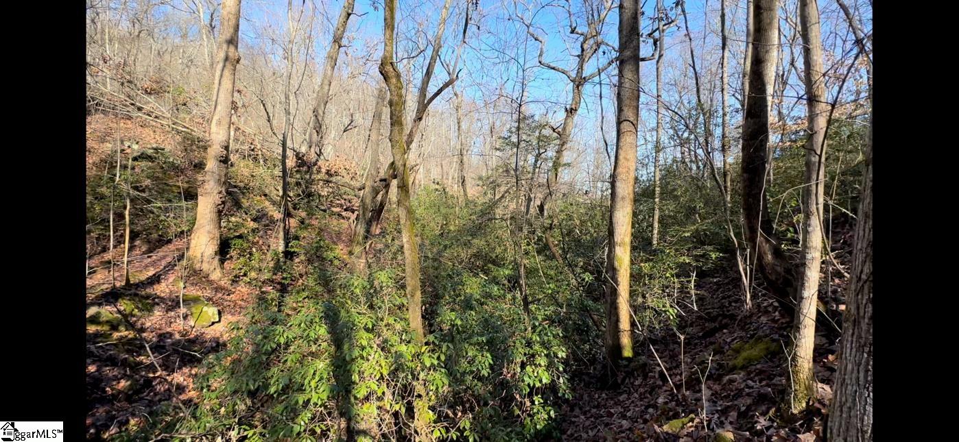 0 Chestnut Ridge Road