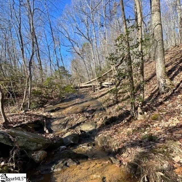 0 Chestnut Ridge Road