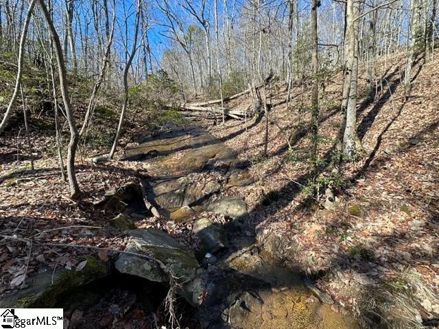 0 Chestnut Ridge Road