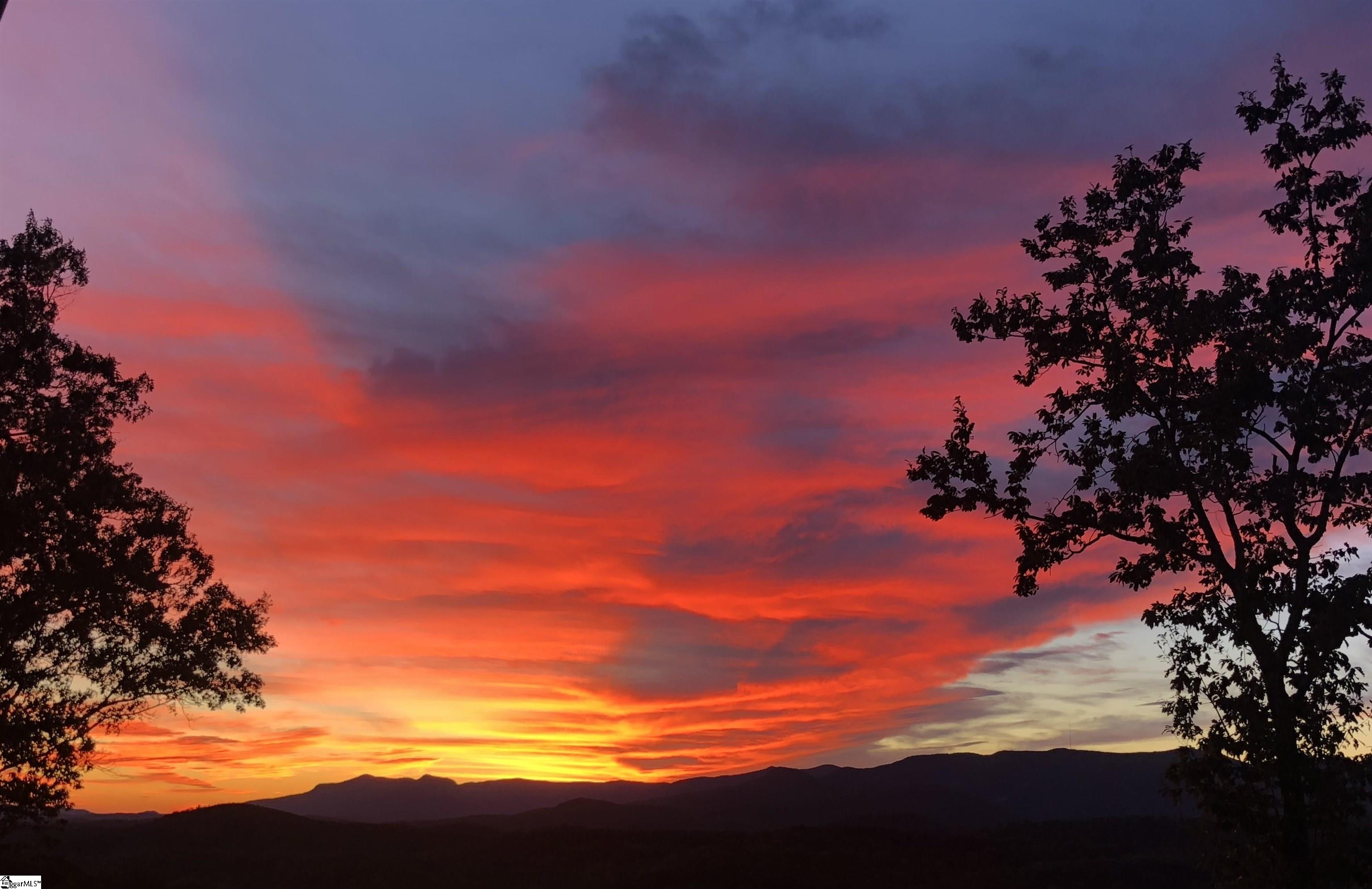 156 Cherokee Rose Trail