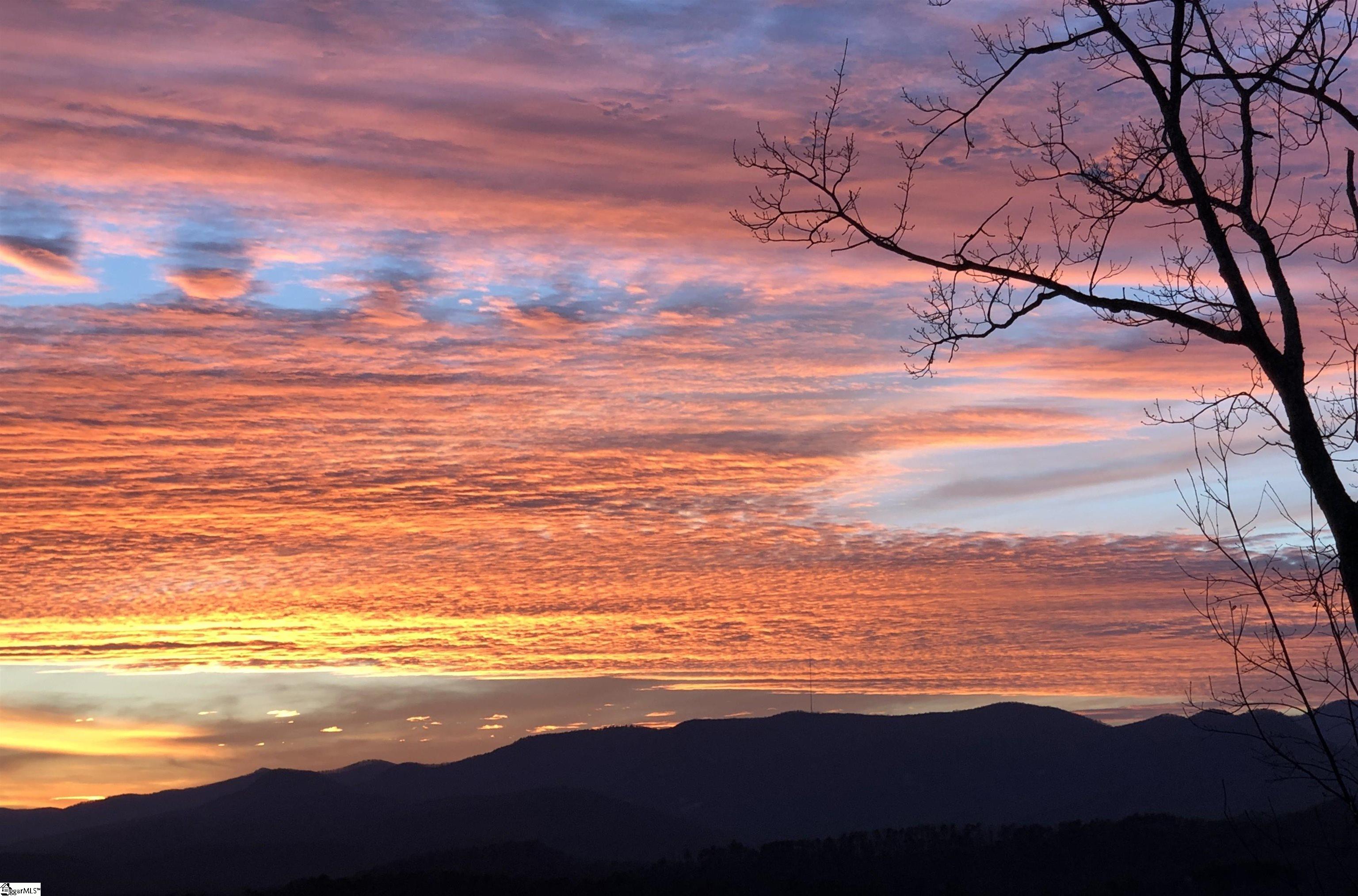 156 Cherokee Rose Trail