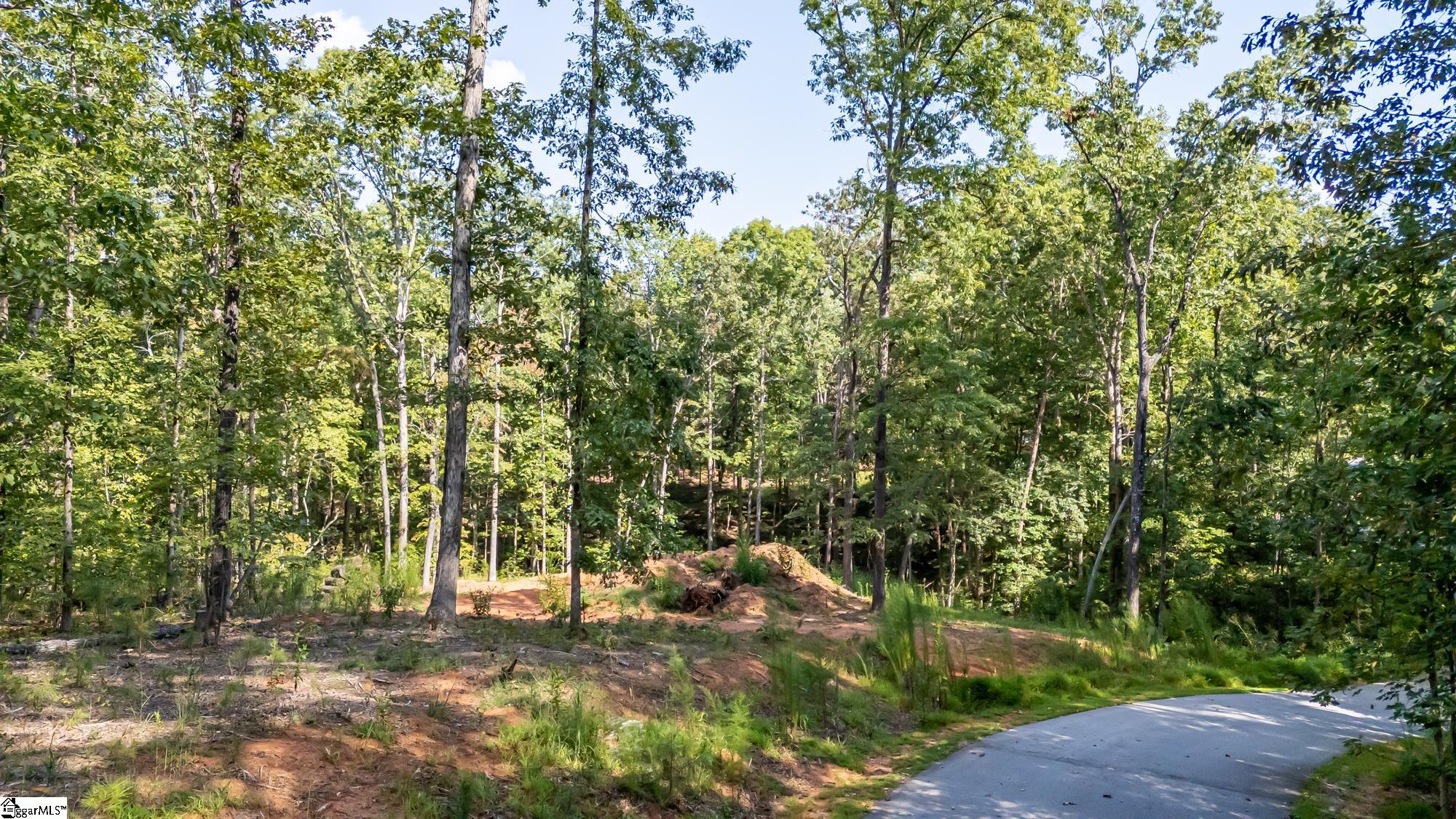 6004 Glassy Water Way