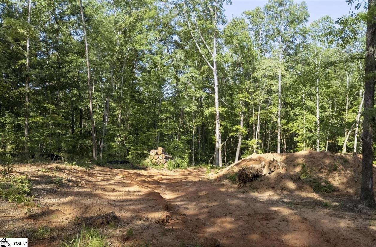 6004 Glassy Water Way