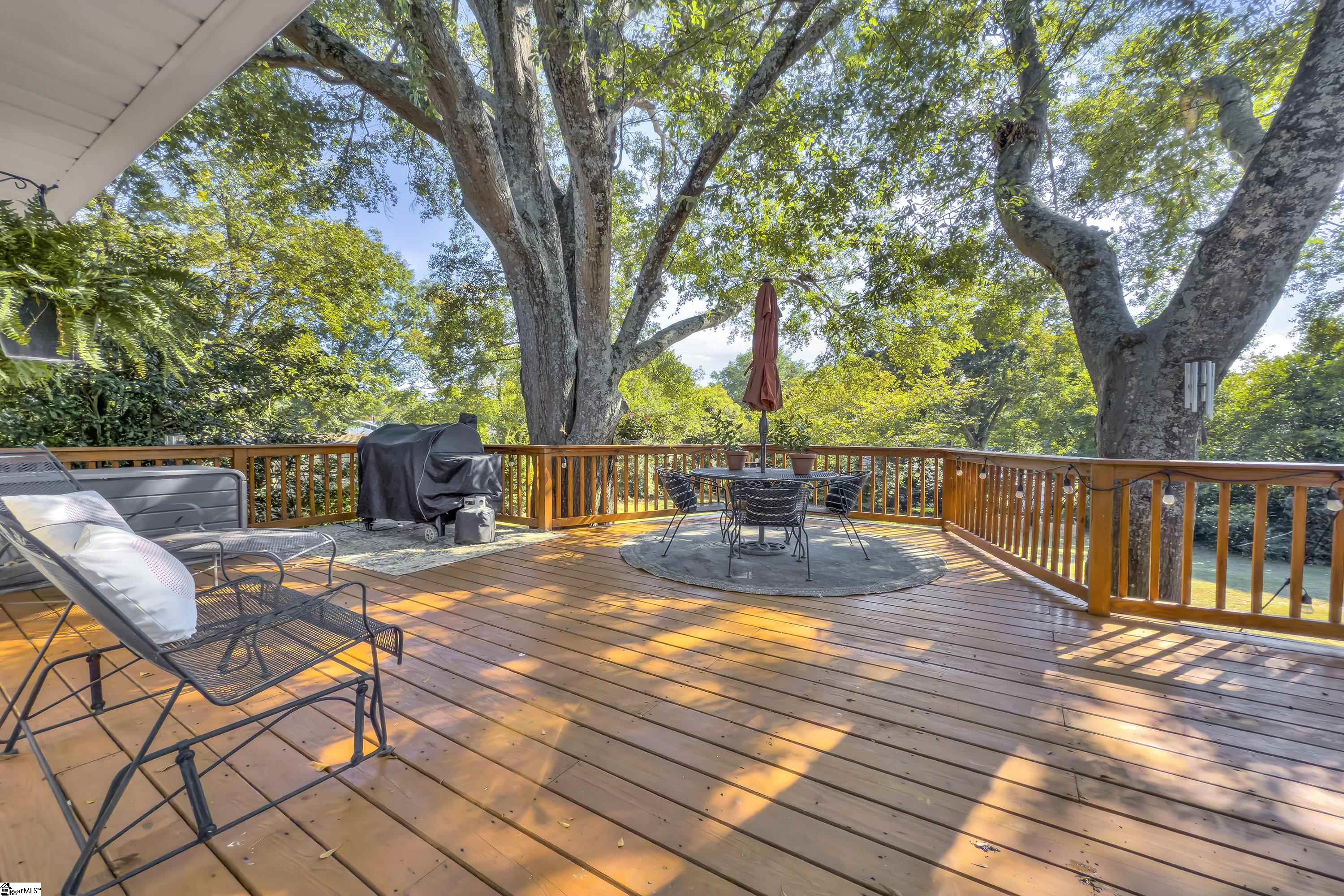 423 Willow Springs Drive