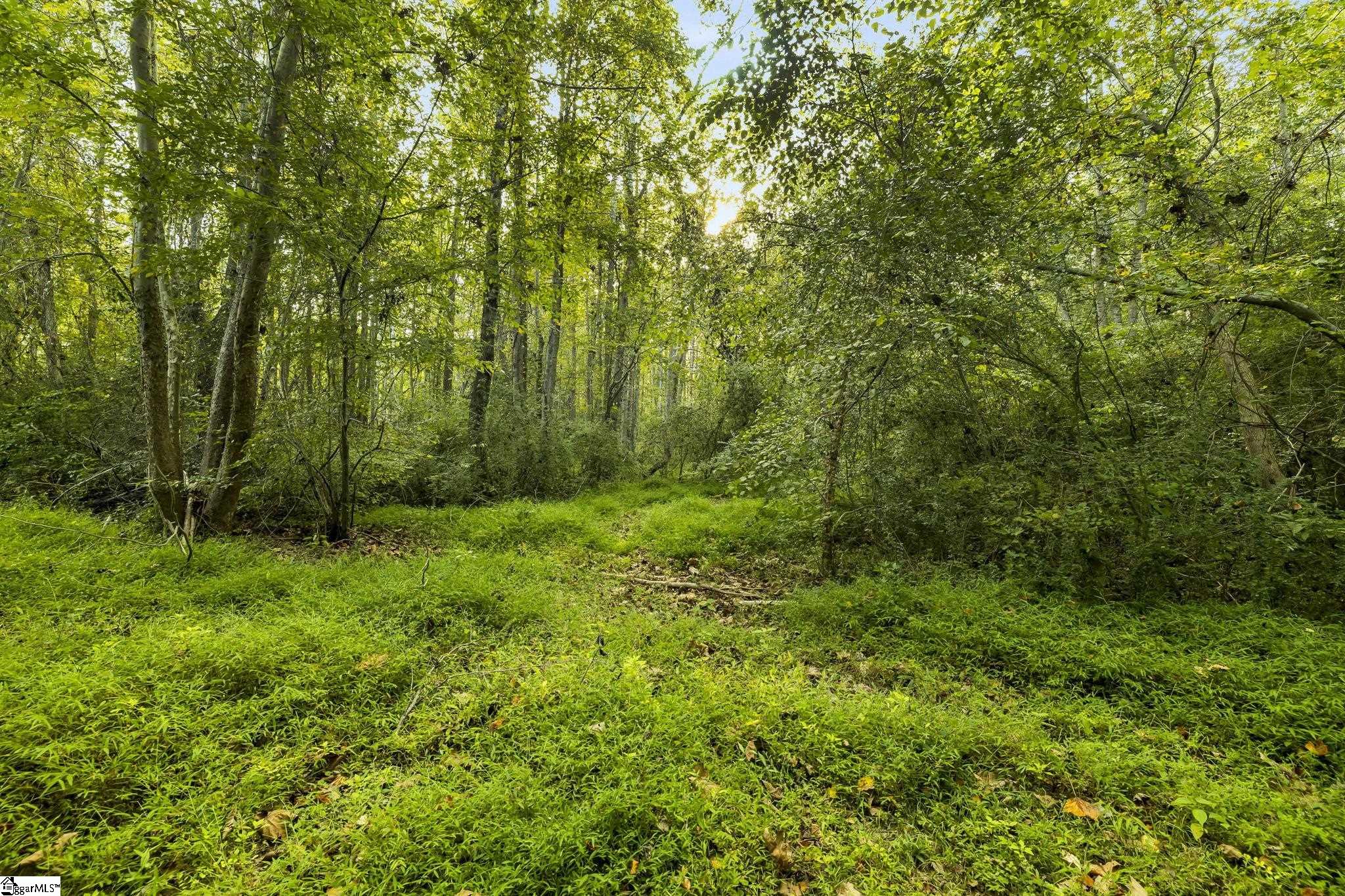 Standing Springs Road