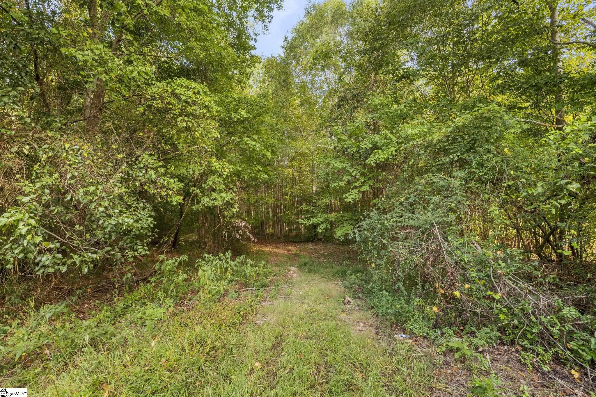 Standing Springs Road