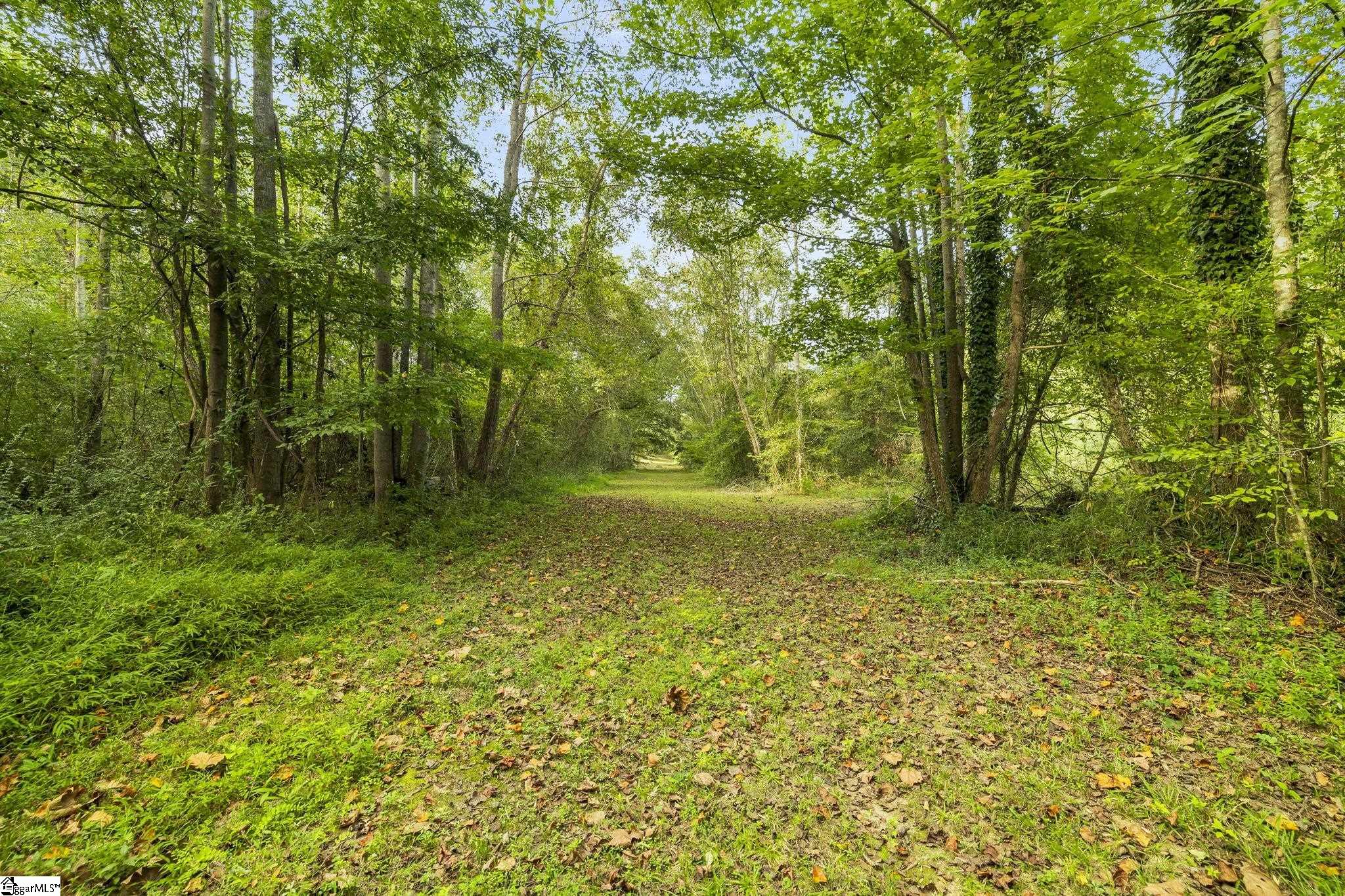 Standing Springs Road