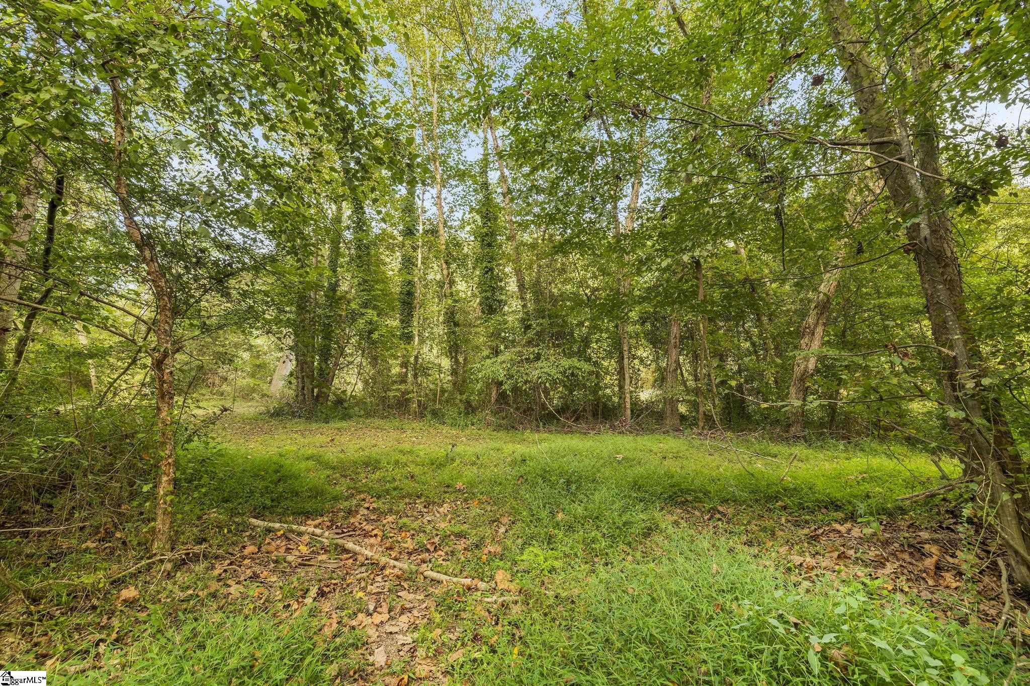 Standing Springs Road