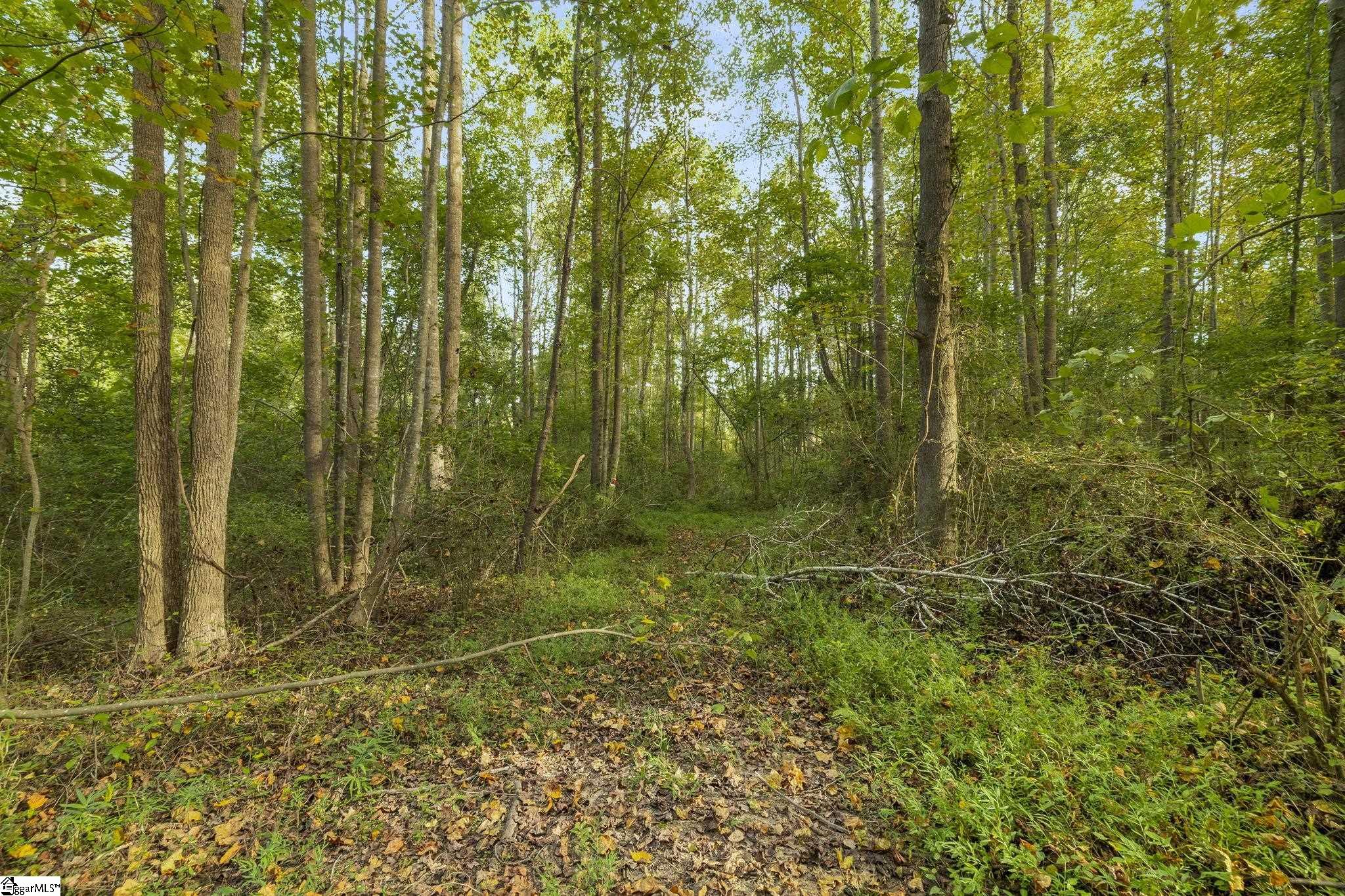Standing Springs Road