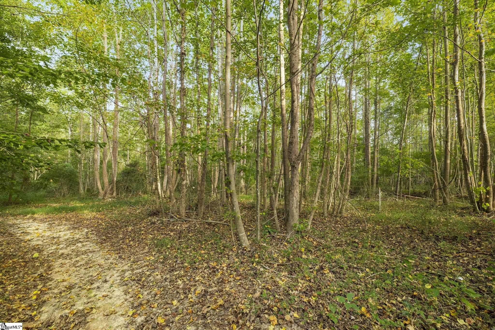 Standing Springs Road