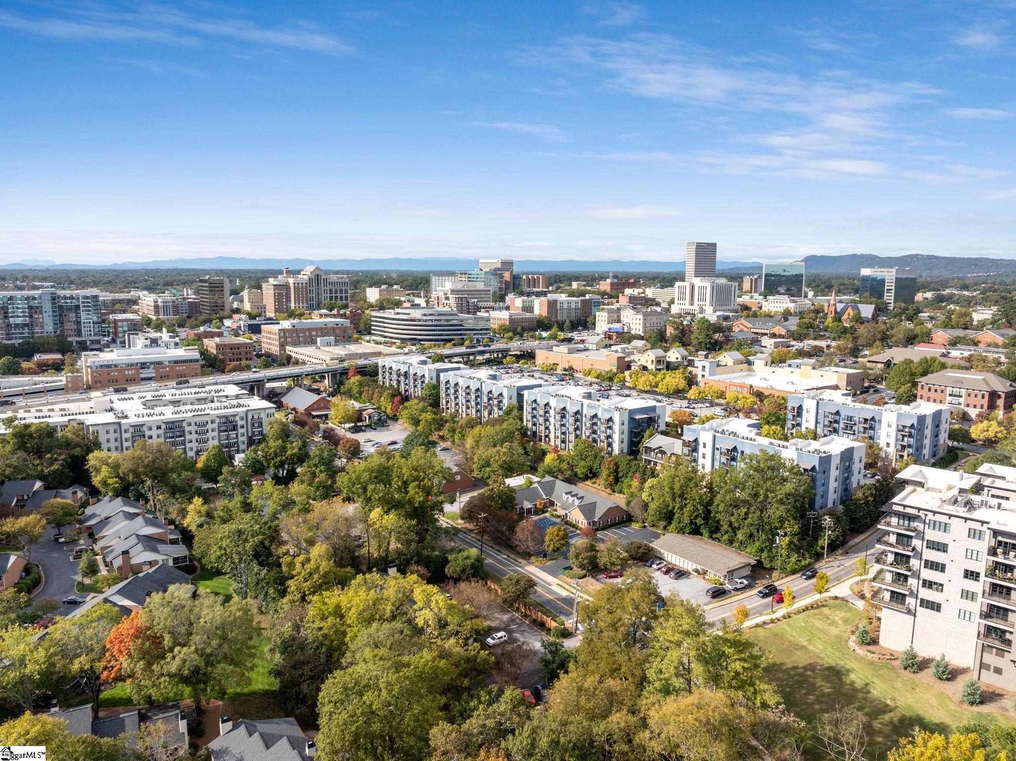 300 E Broad Street Unit 10, Greenville Unit: Unit 10