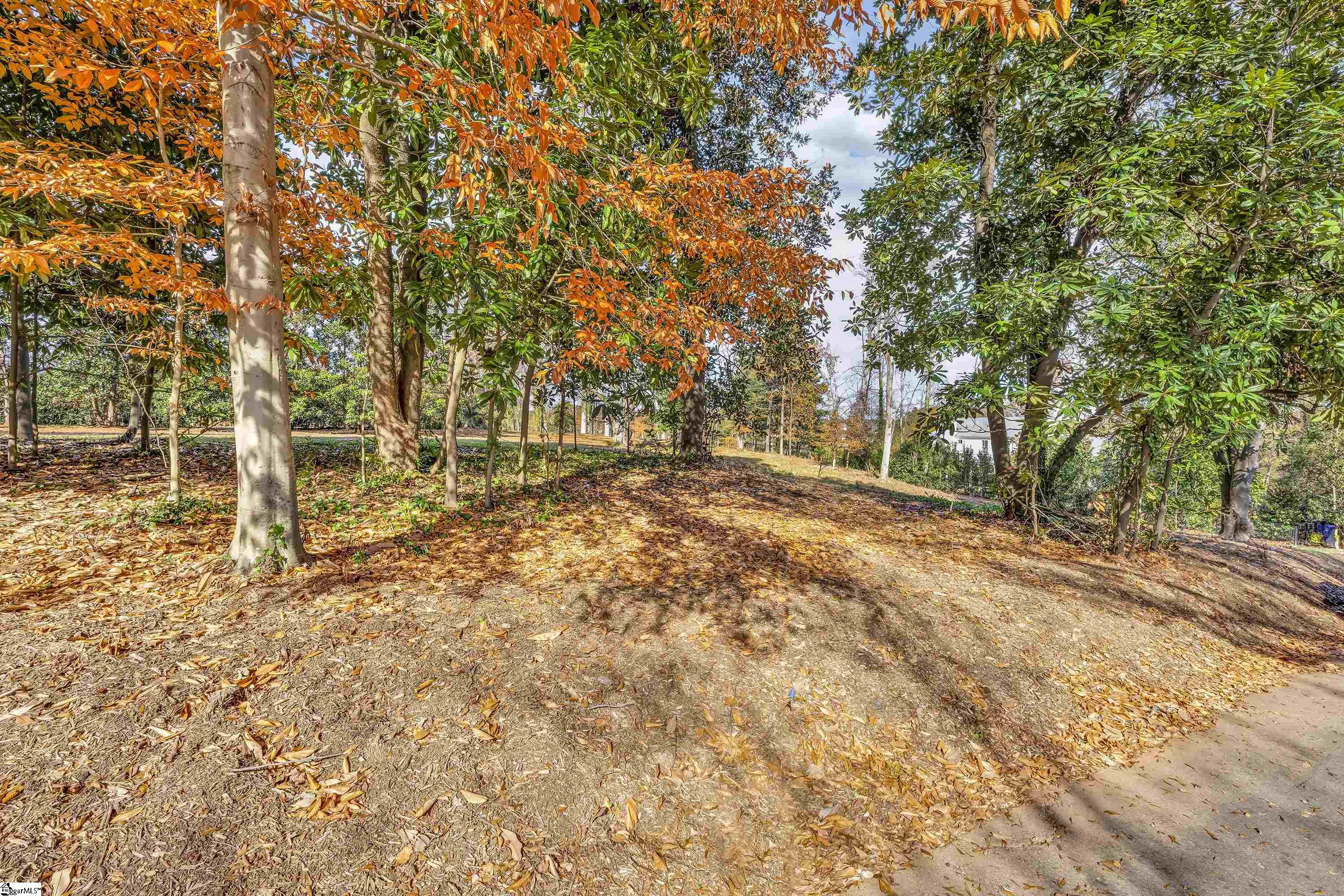 00 Forest View Drive Lot 1 Unit: Lot #1