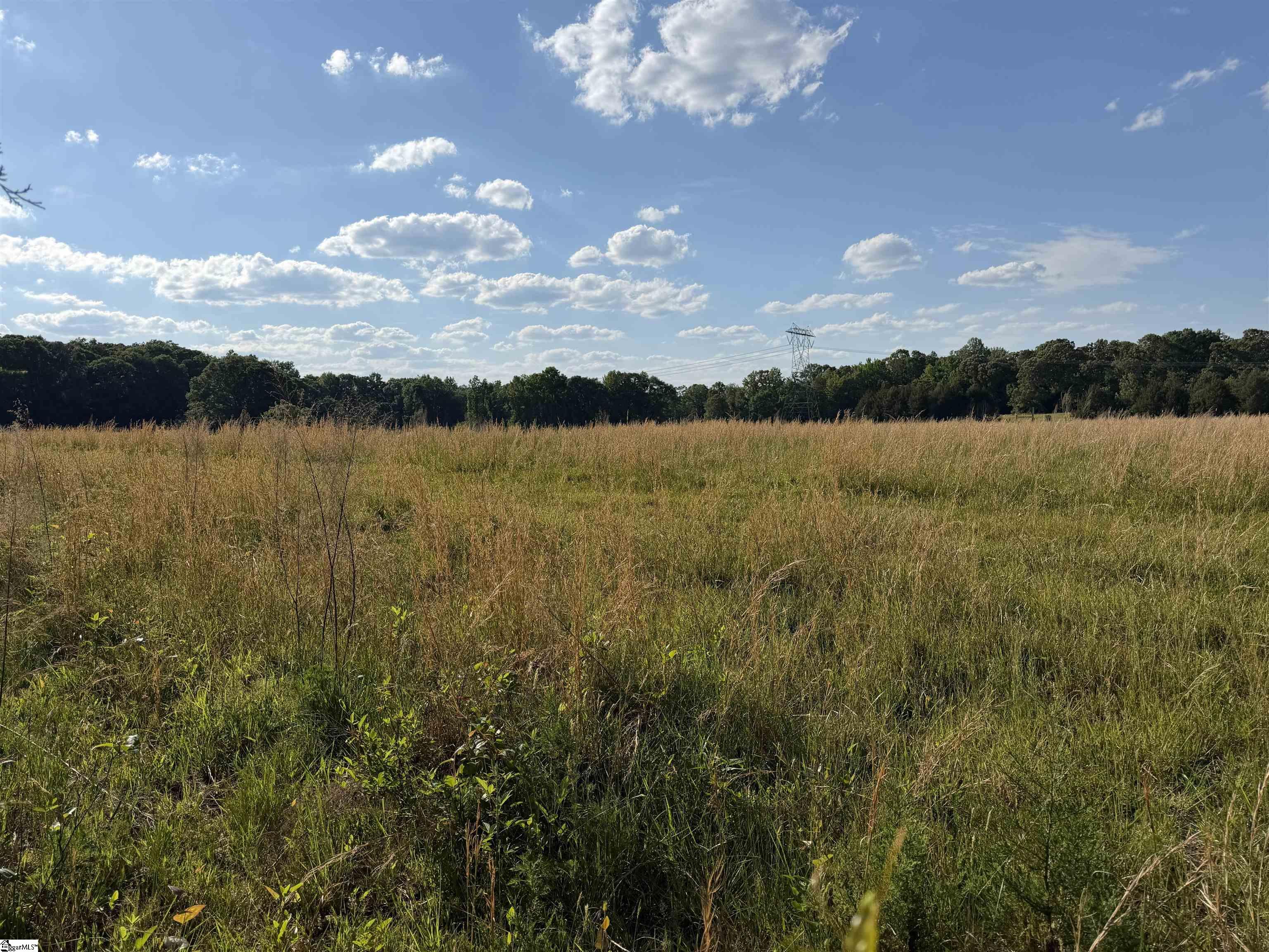 100 Living Waters Trail Lot 3 Unit: Lot #3