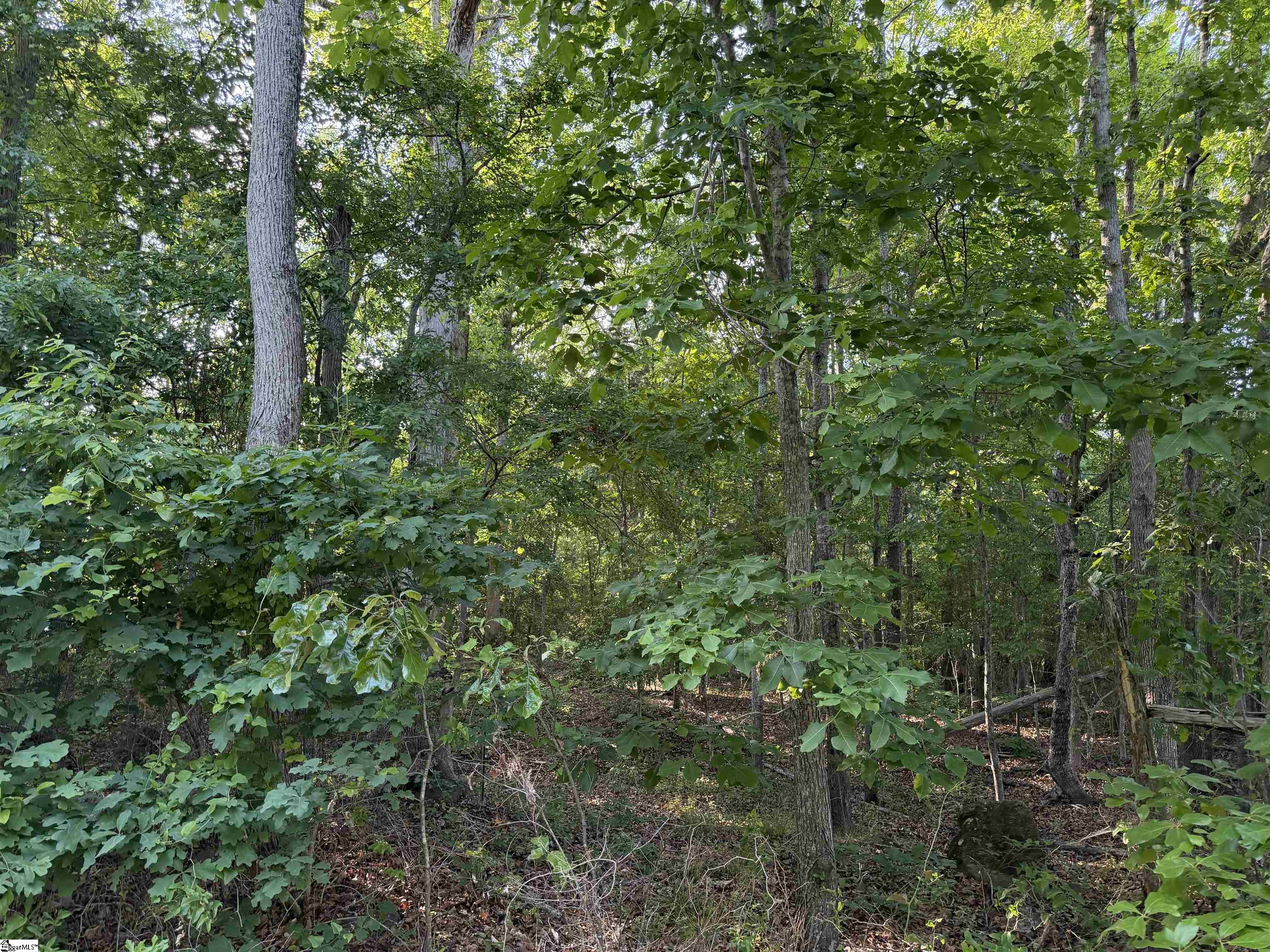 100 Living Waters Trail Lot 3 Unit: Lot #3