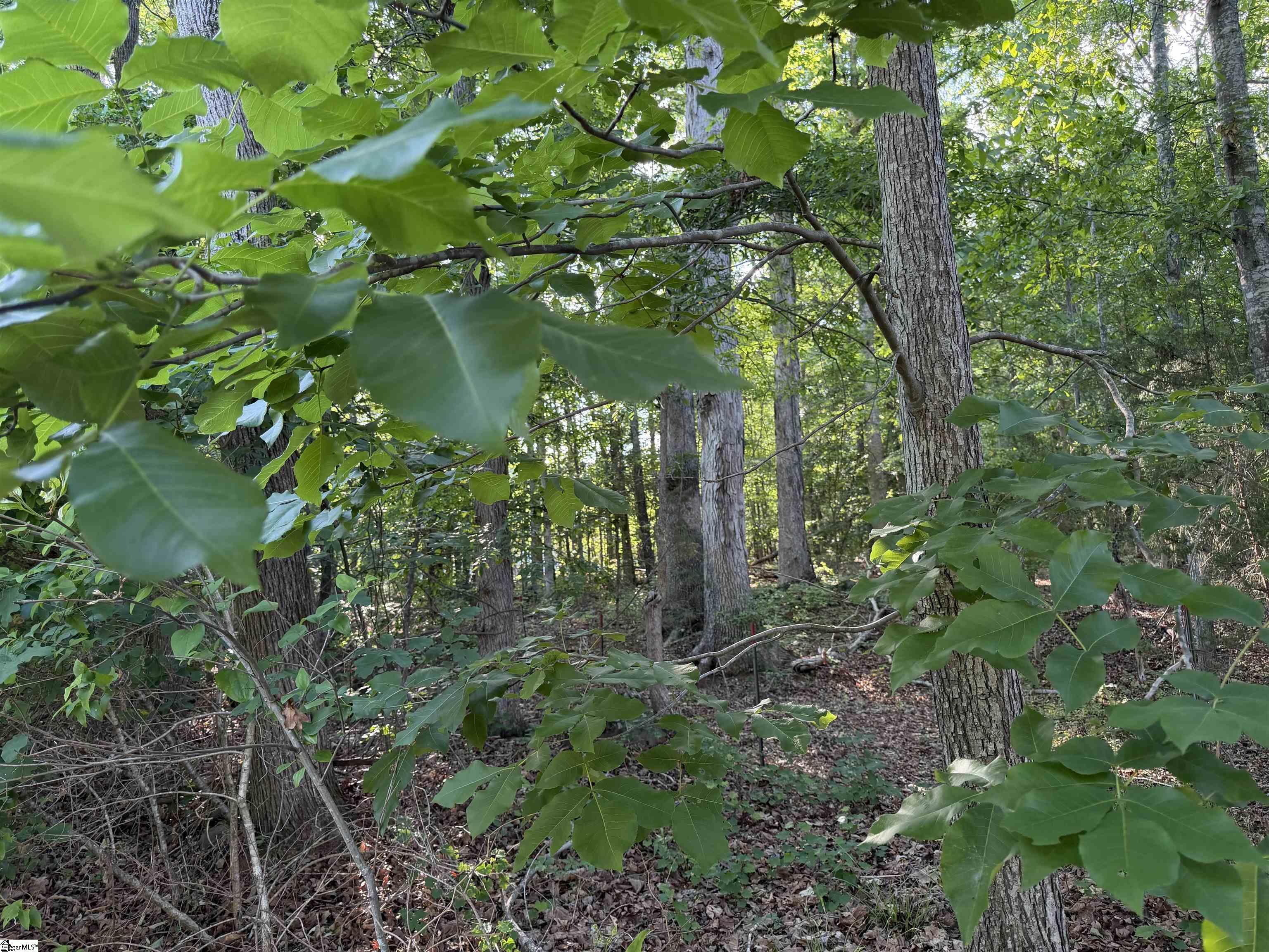 100 Living Waters Trail Lot 3 Unit: Lot #3