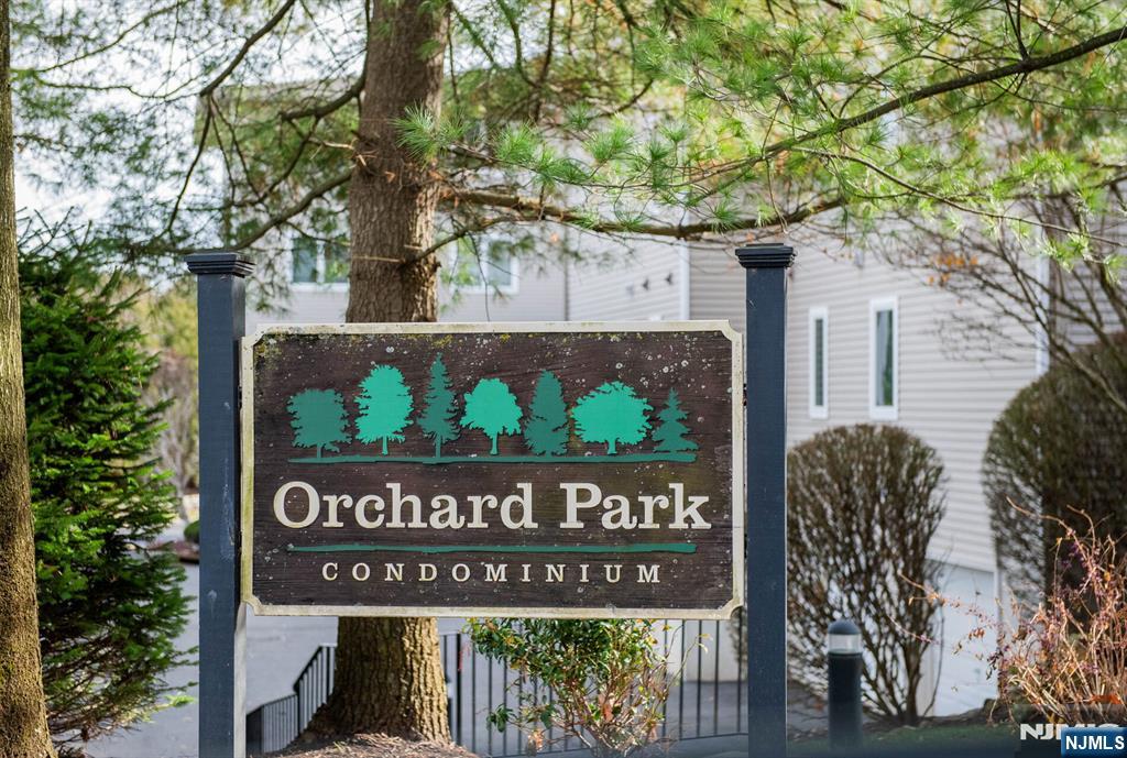 218 Orchard Park