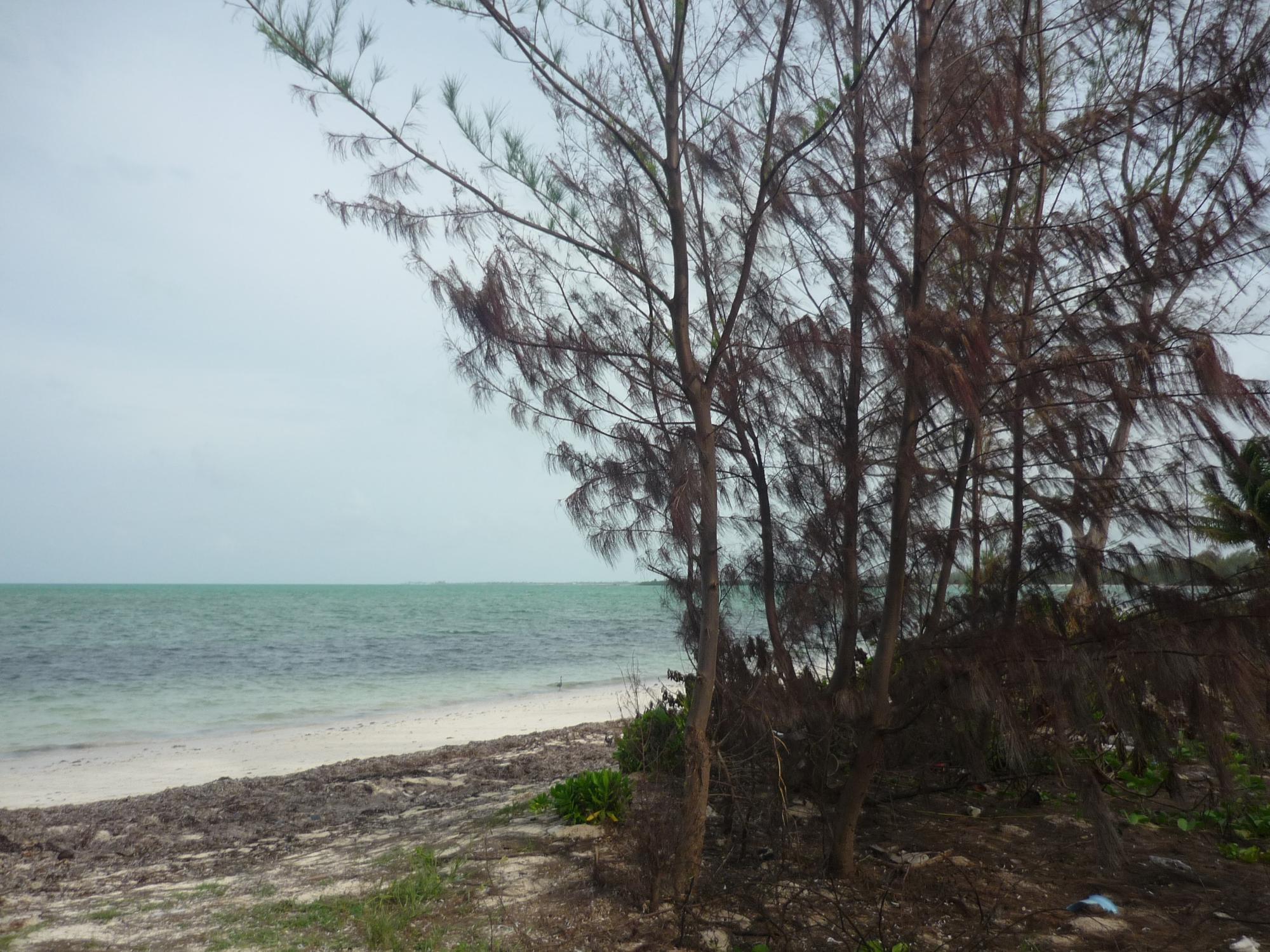 Front 1.020 ACRES MANGROVE CAY Unit: Beach