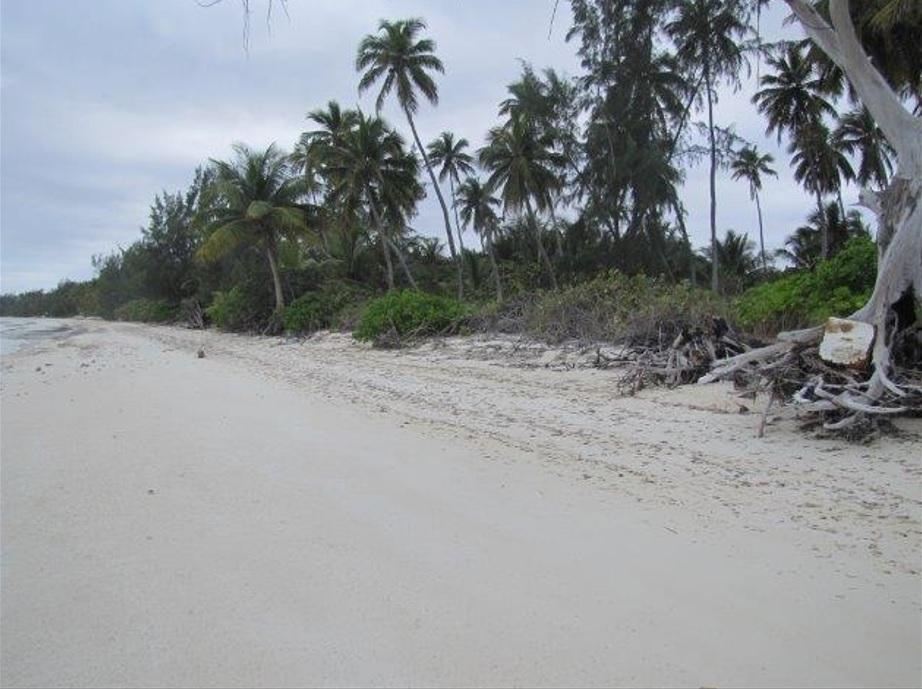 Front 1.020 ACRES MANGROVE CAY Unit: Beach