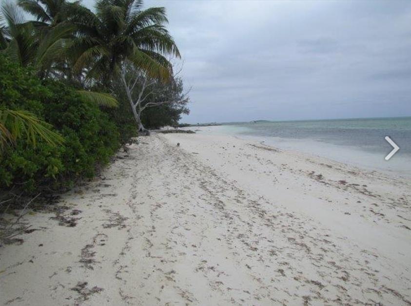 Front 1.020 ACRES MANGROVE CAY Unit: Beach