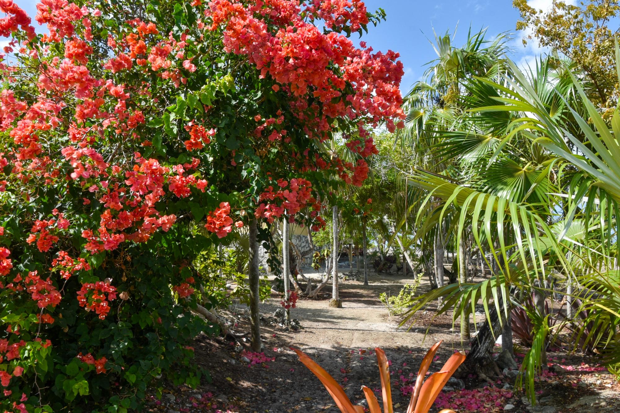 LOT 14 PIGEON CAY