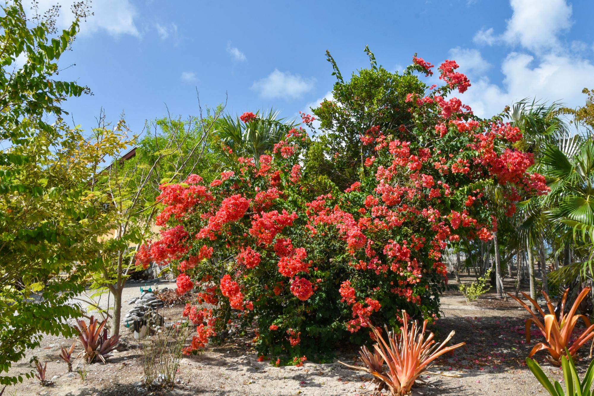 LOT 14 PIGEON CAY