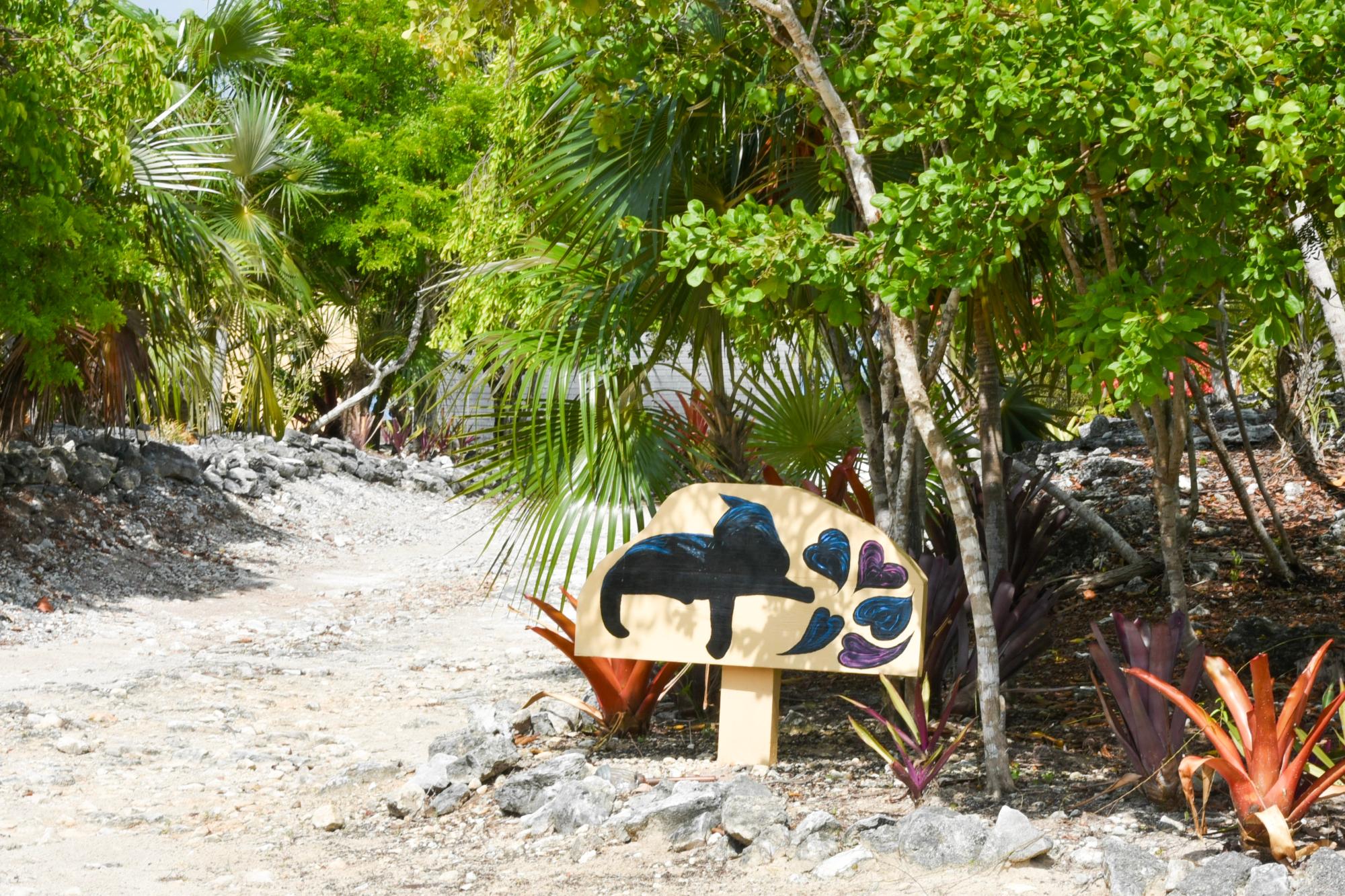 LOT 14 PIGEON CAY