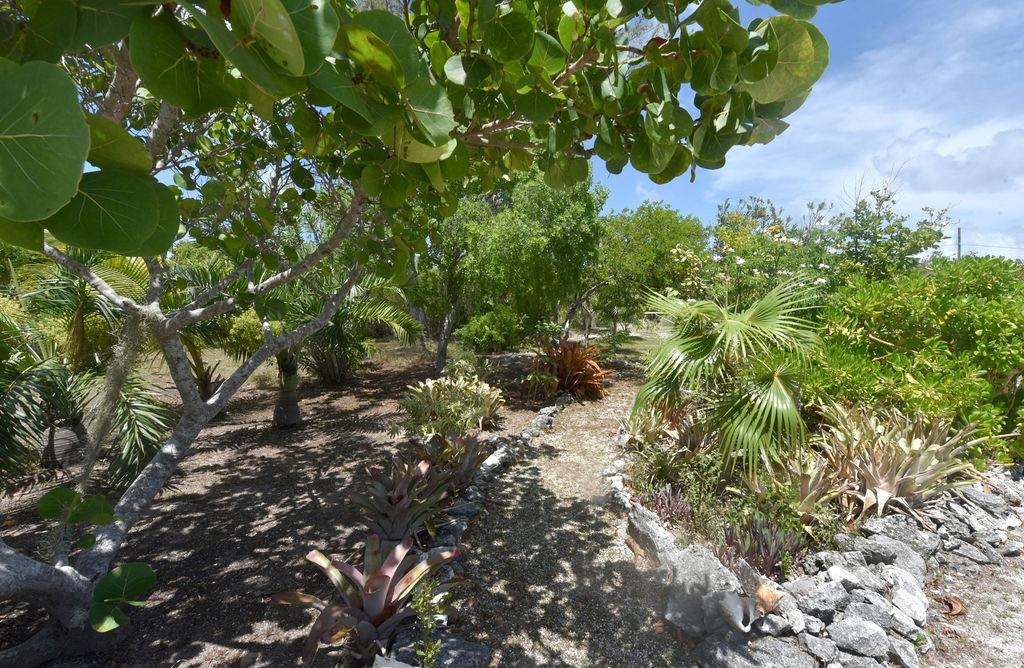 BAY ROAD, PIGEON CAY Unit: Lot 3 & 4