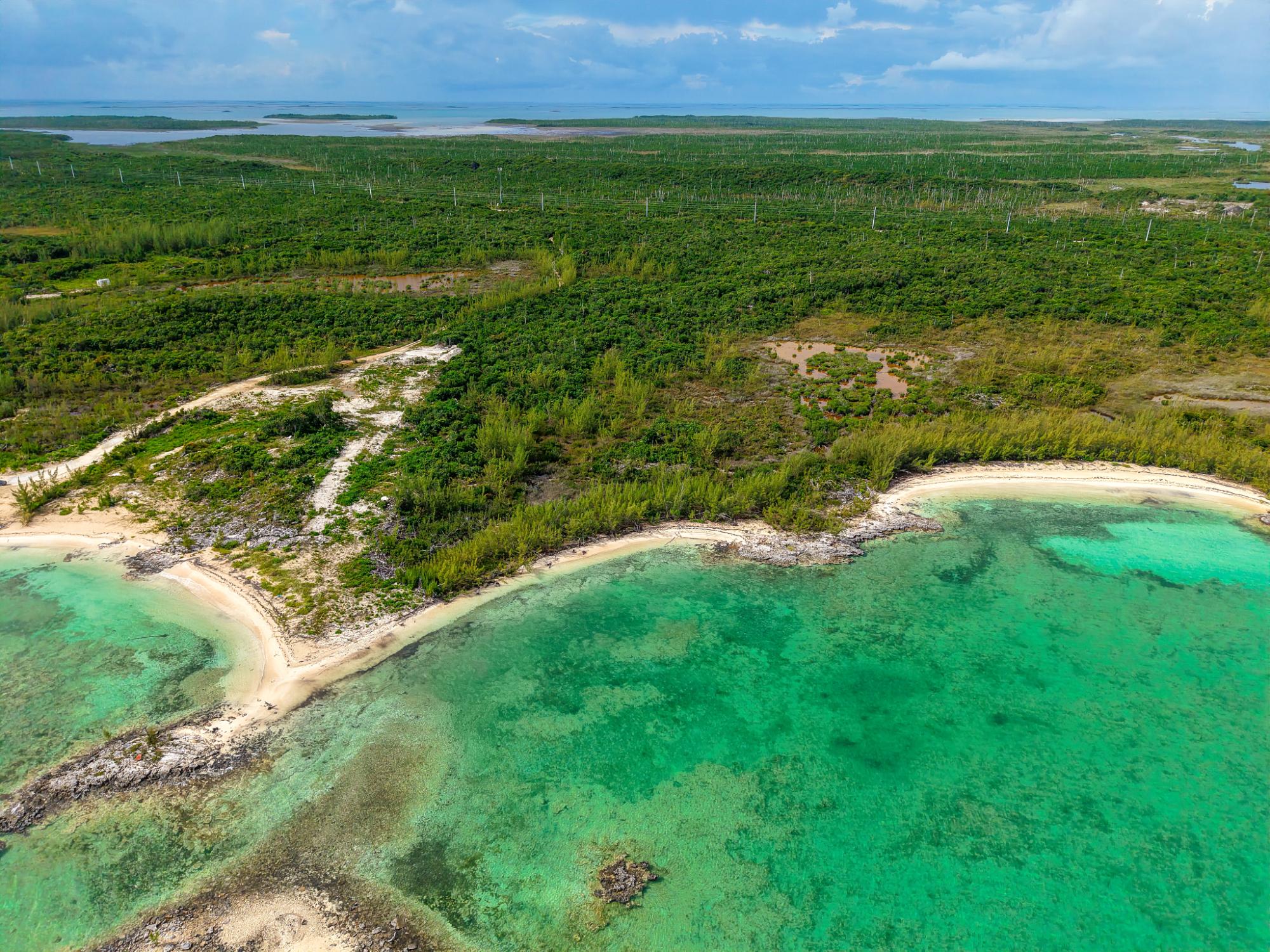 16.72 ACRES CABBAGE POINT