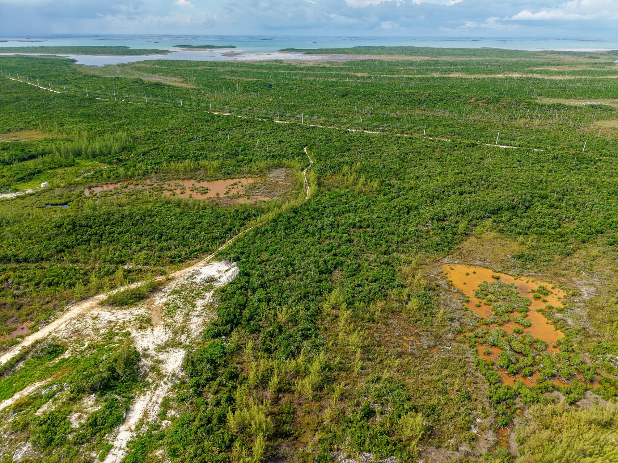 16.72 ACRES CABBAGE POINT