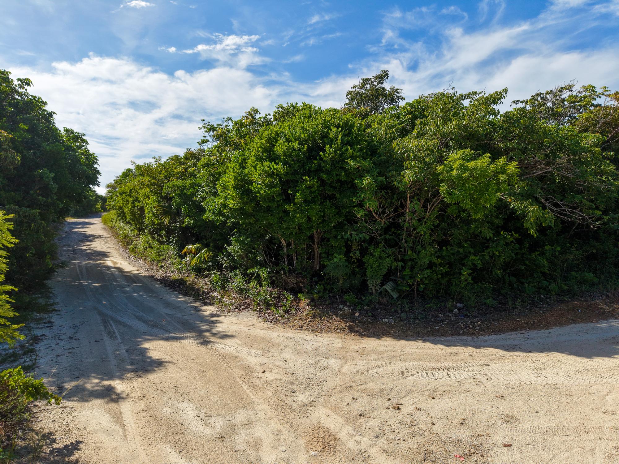 COCO BAY,GREEN TURTLE CAY Unit: Lot 1