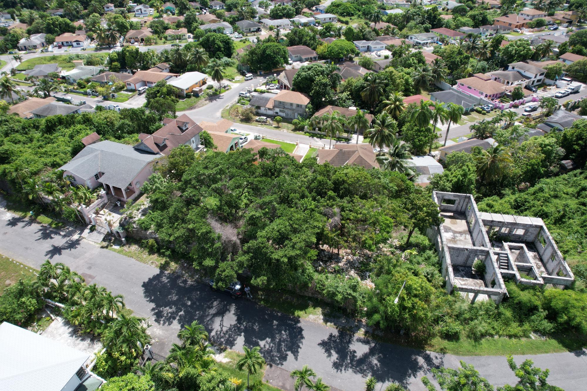 BLOSSOM AVENUE, G
